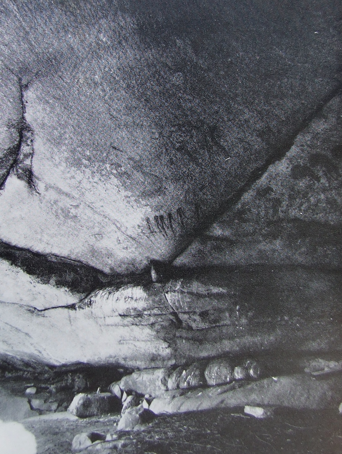 Nanke 1920s ex Frobenius (1).jpeg
