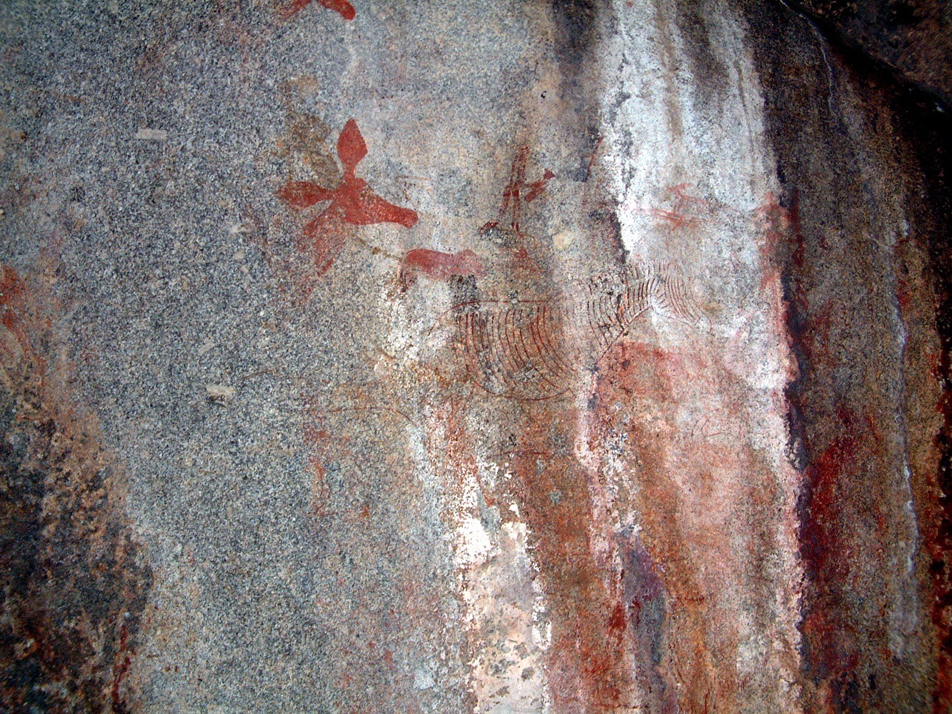 Nswatugi 2006.03.03 (2).jpeg