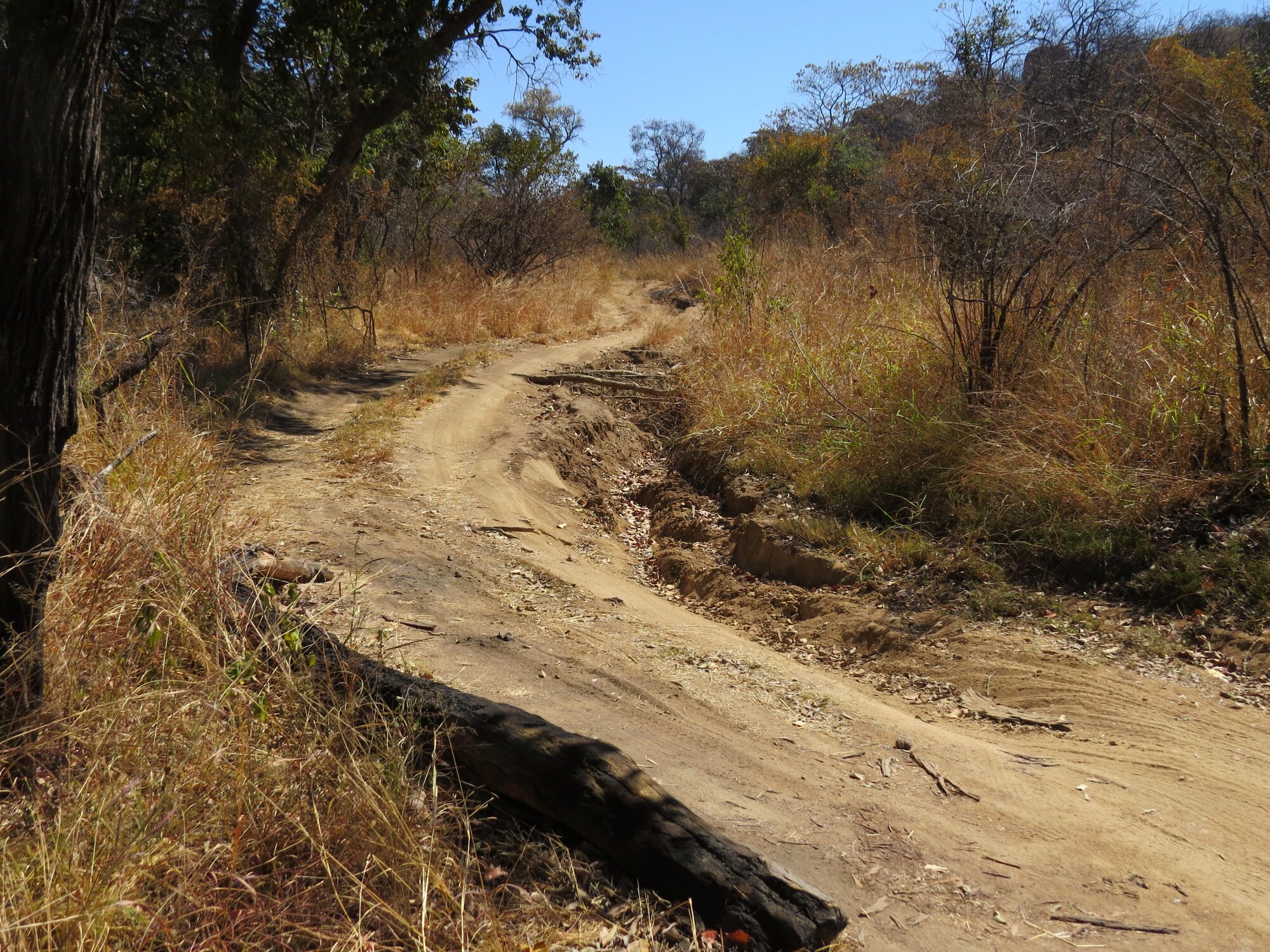 Nswatugi  access road 2014.08.06.jpeg