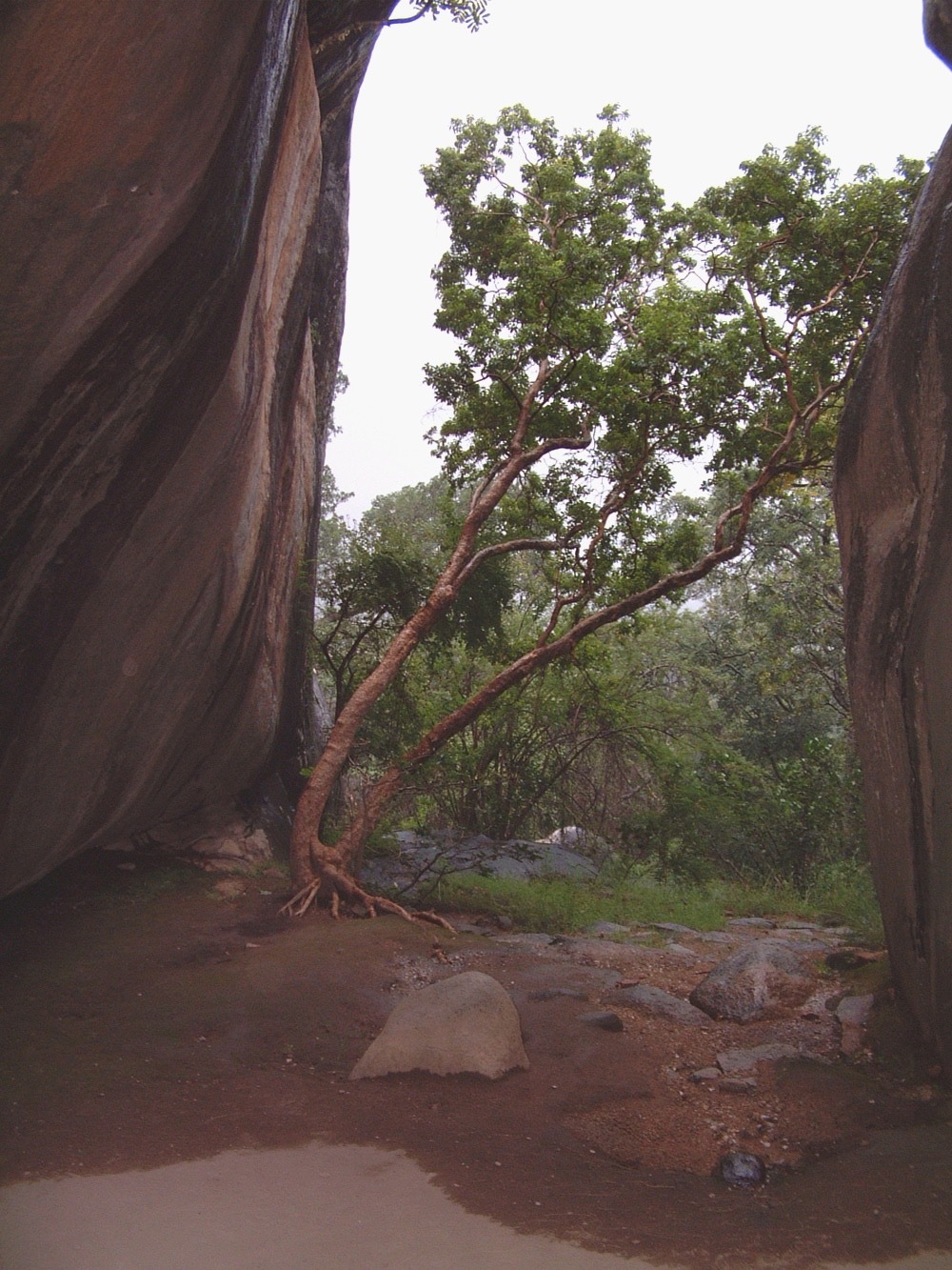 Nswatugi 2006.03.03 (4).jpeg