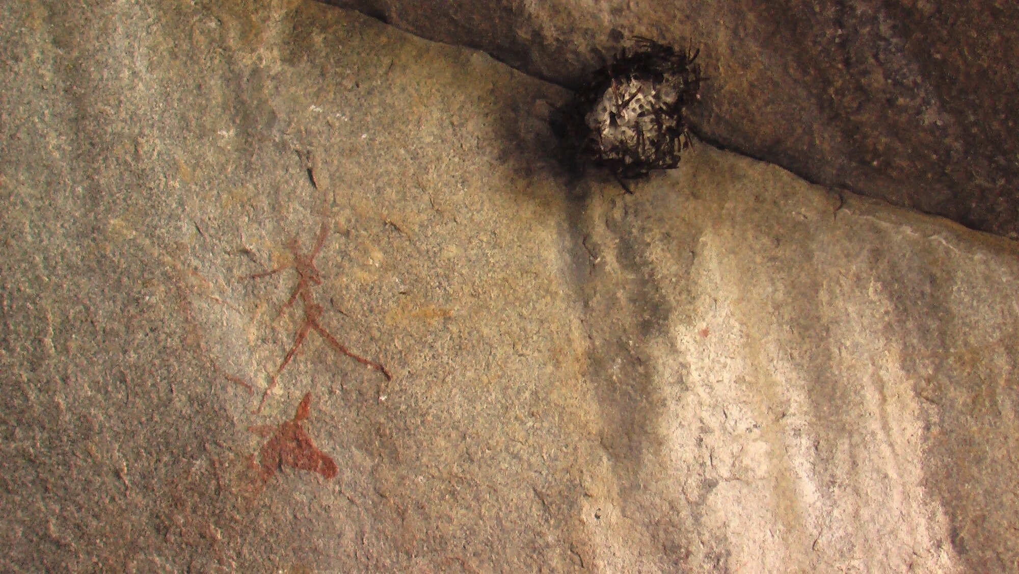 Nswatugi 2008.05.25 ex Jono Waters (1).jpeg