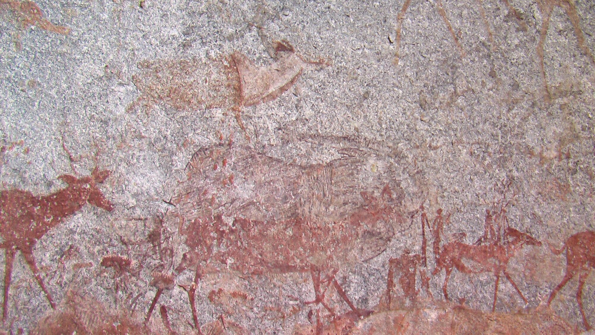 Nswatugi 2008.05.25 ex Jono Waters (2).jpeg