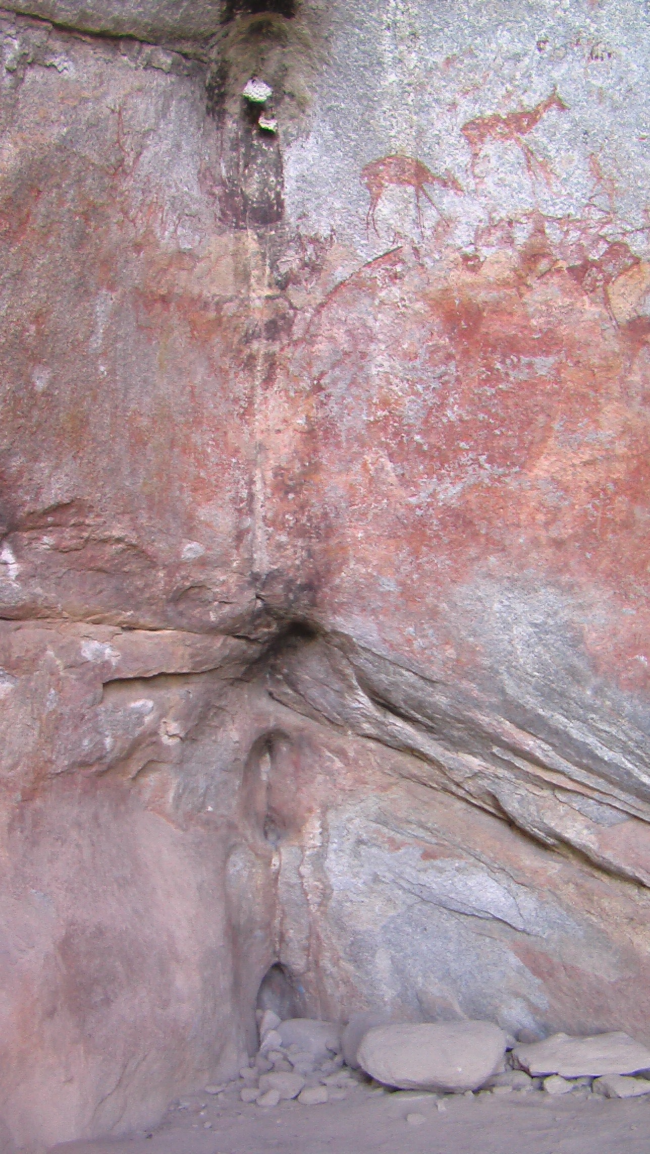 Nswatugi 2008.05.25 ex Jono Waters.jpeg