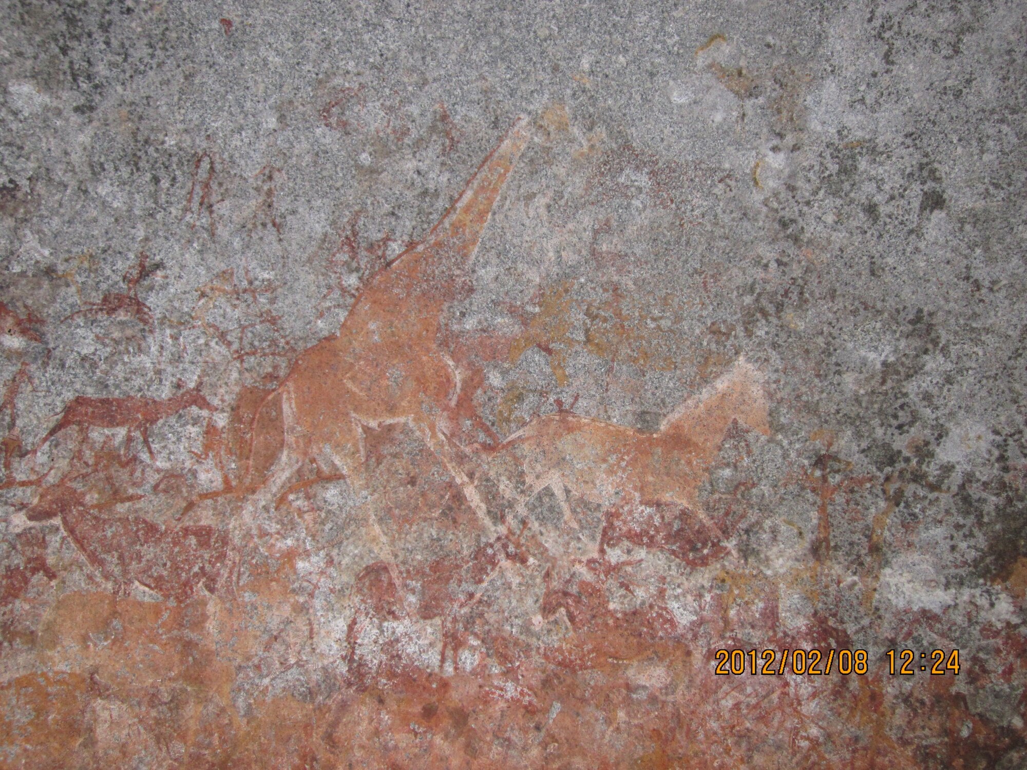 Nswatugi lower giraffe 2012.02.08.jpeg