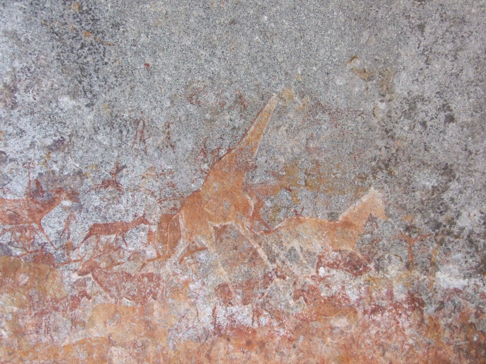 Nswatugi lower giraffe 2016.11.19.jpeg