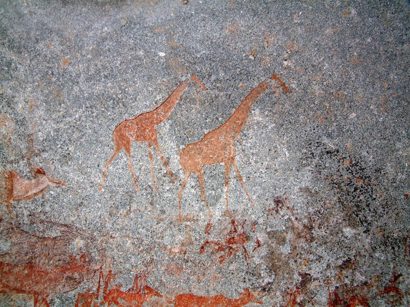 Nswatugi upper giraffe 2006.03.03.jpeg