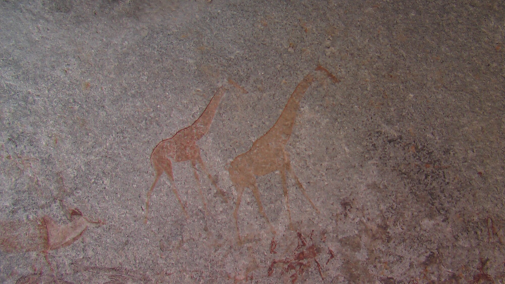 Nswatugi upper giraffe 2008.05.25 ex Jono Waters.jpeg