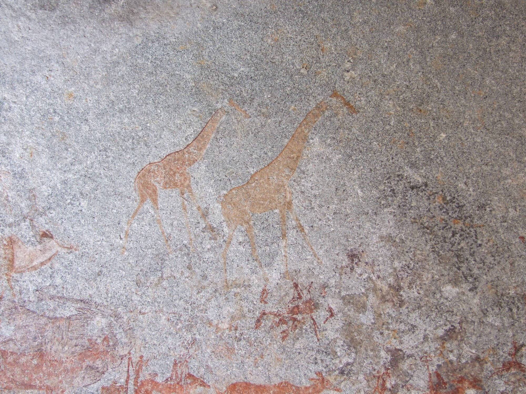 Nswatugi upper giraffe 2016.11.19.jpeg