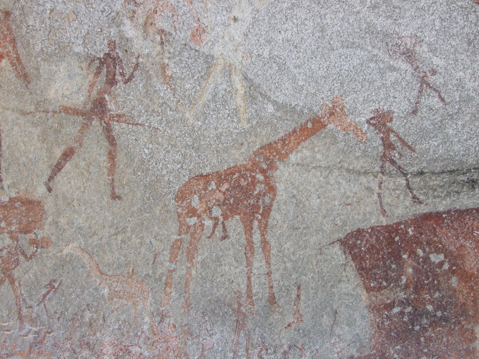 Silozwane big giraffe 2008.12.07 (1).jpeg