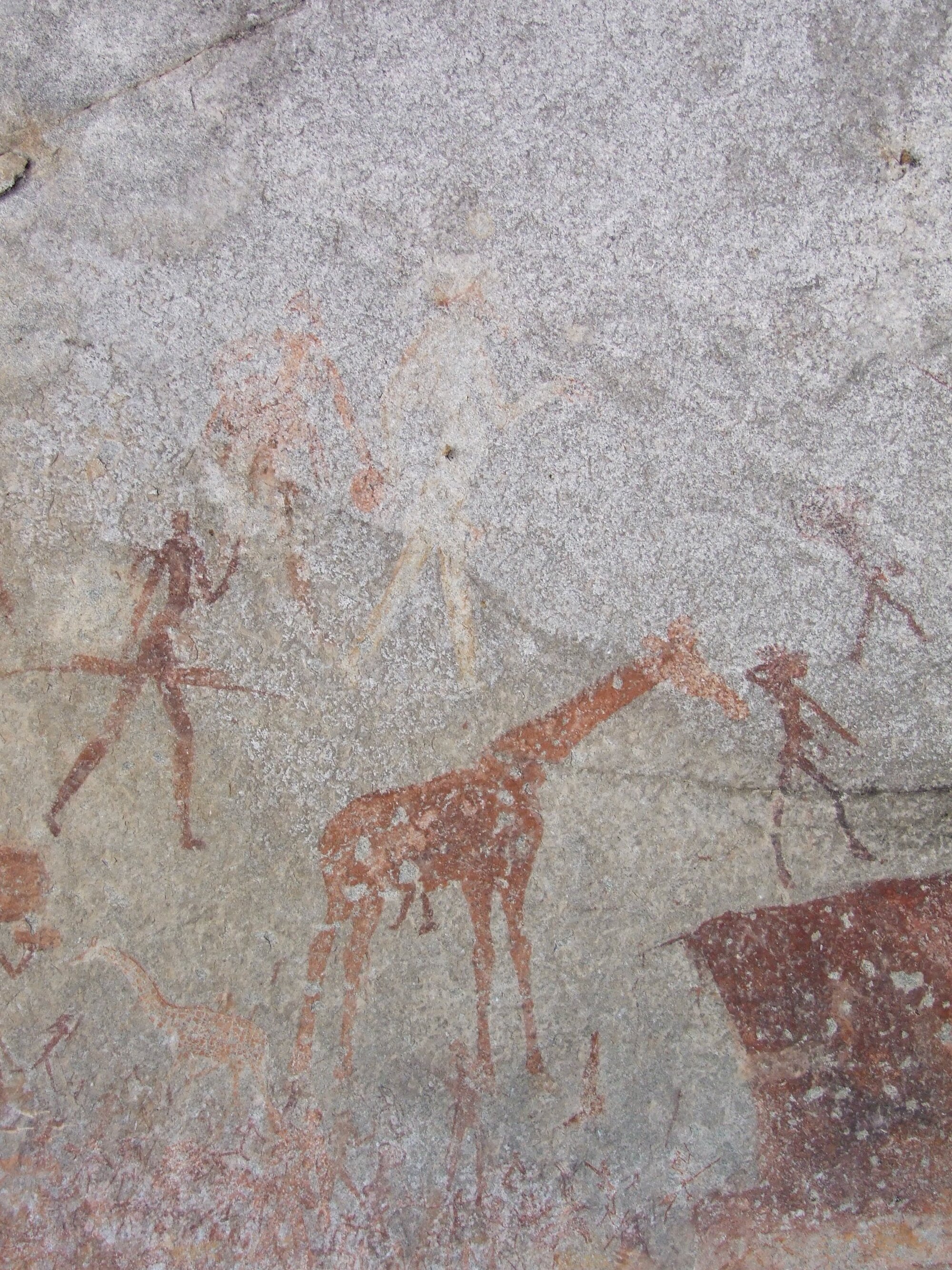 Silozwane big giraffe 2008.12.07 (2).jpeg