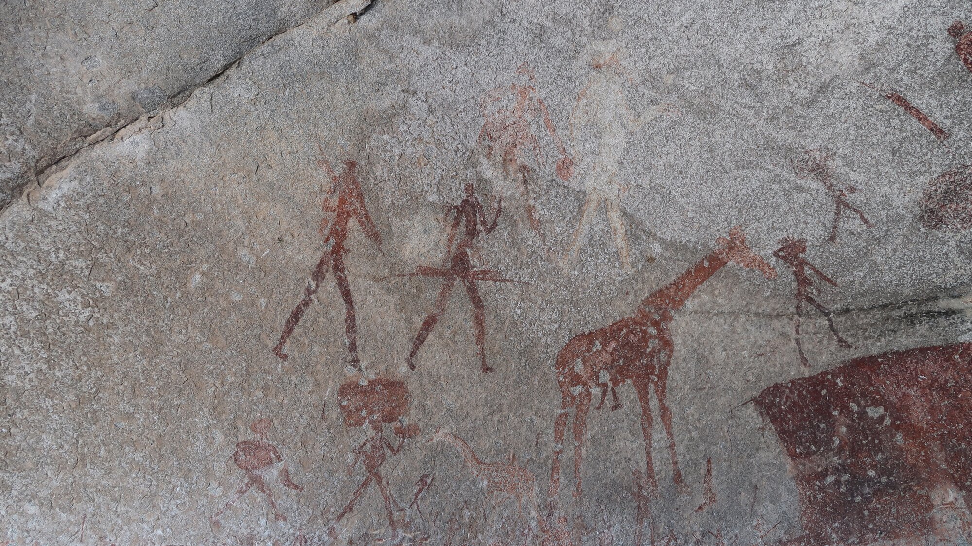 Silozwane big giraffe 2018.06.17.jpeg