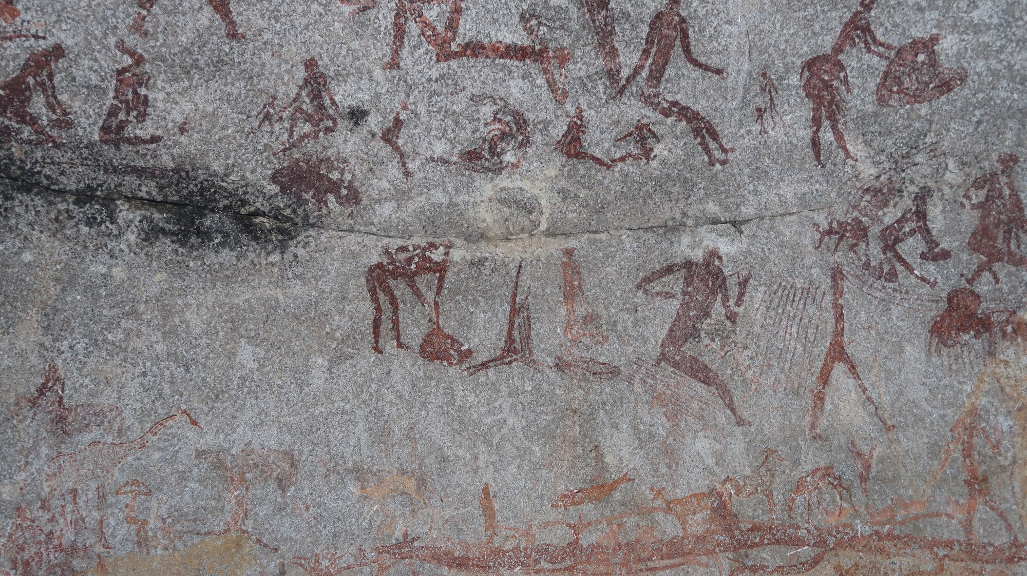 Silozwane main humans 2018.06.17 (4).jpeg