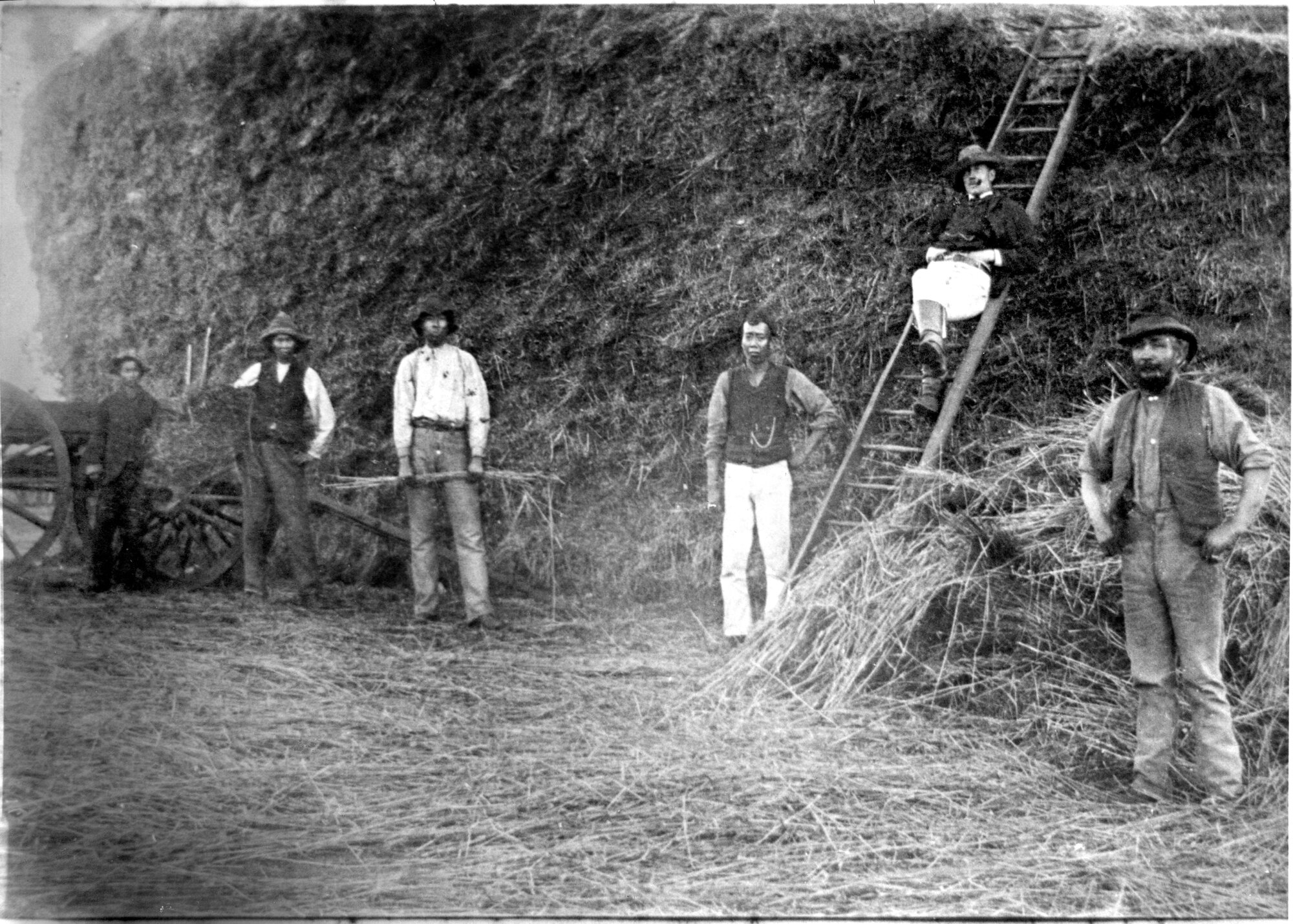 Chinese Workers at Kendenup, possibly 1870s