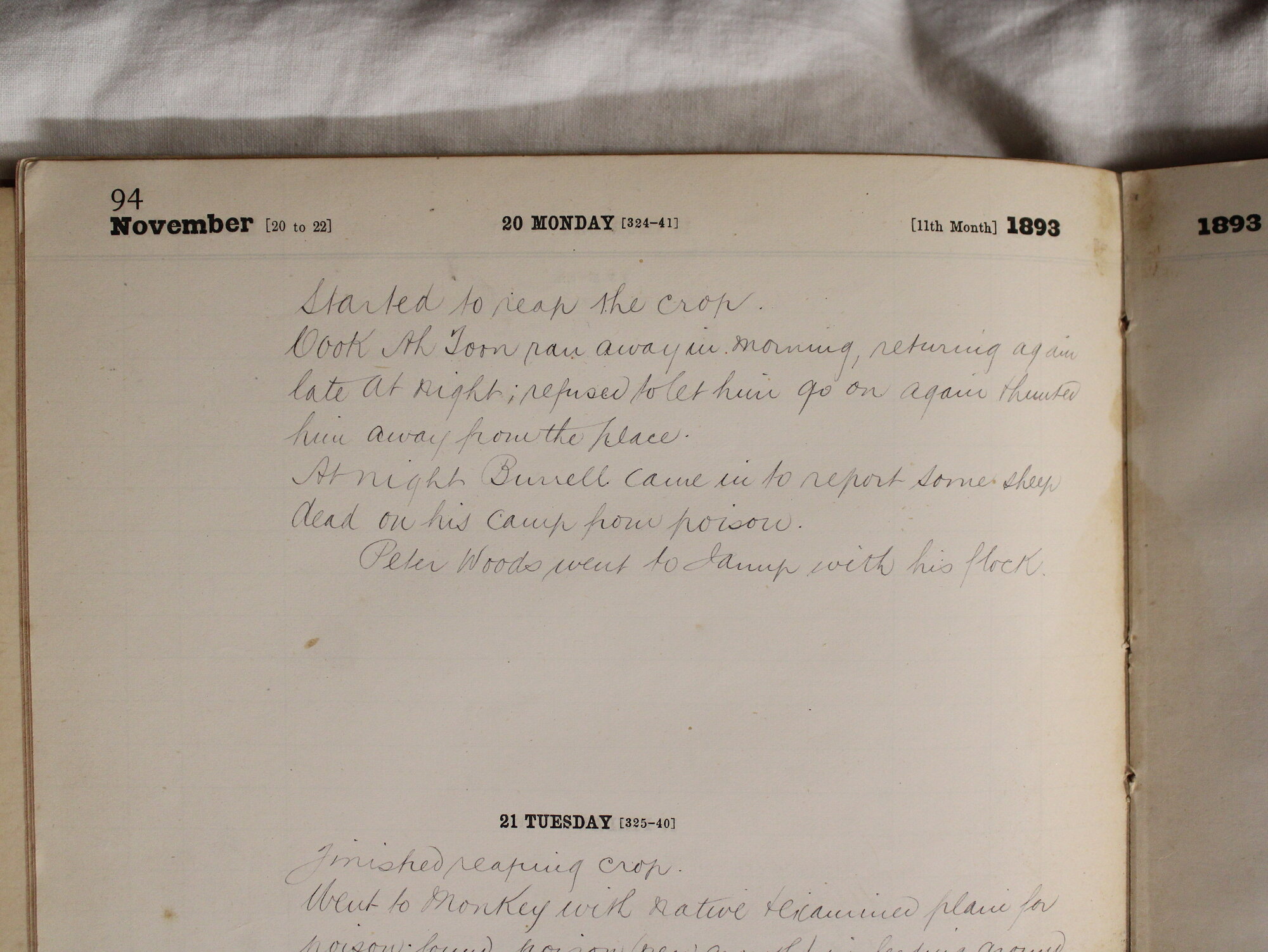 Jerramungup farm diary 20 November 1893
