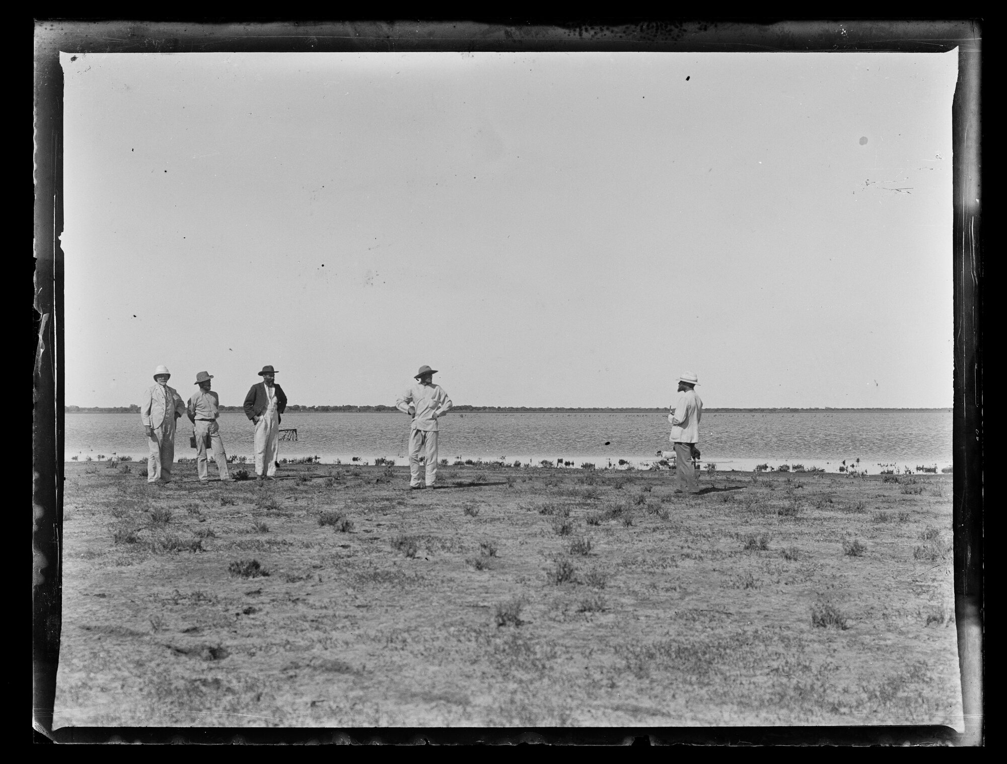 Shockley glass plate negative 03