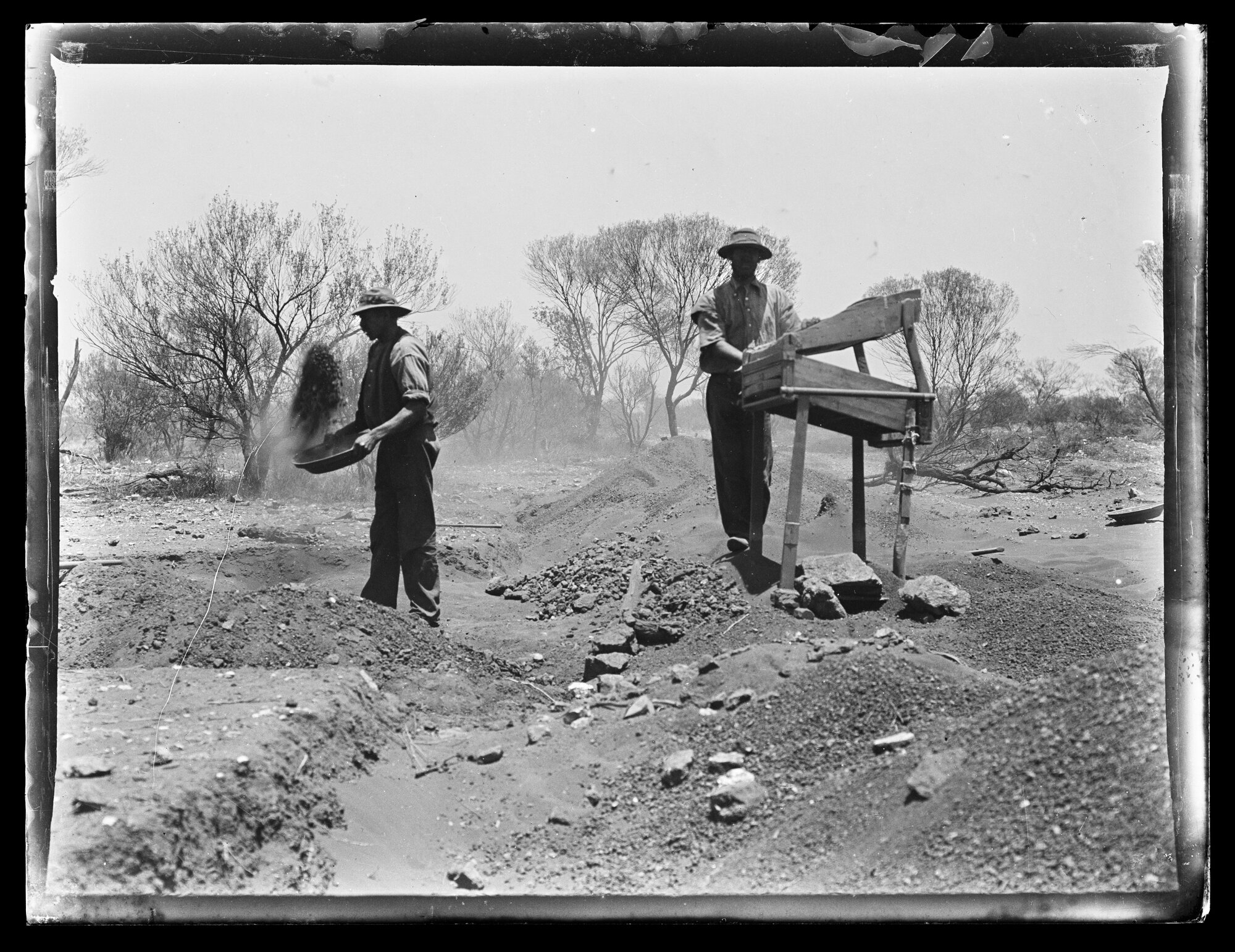 Shockley glass plate negative 04