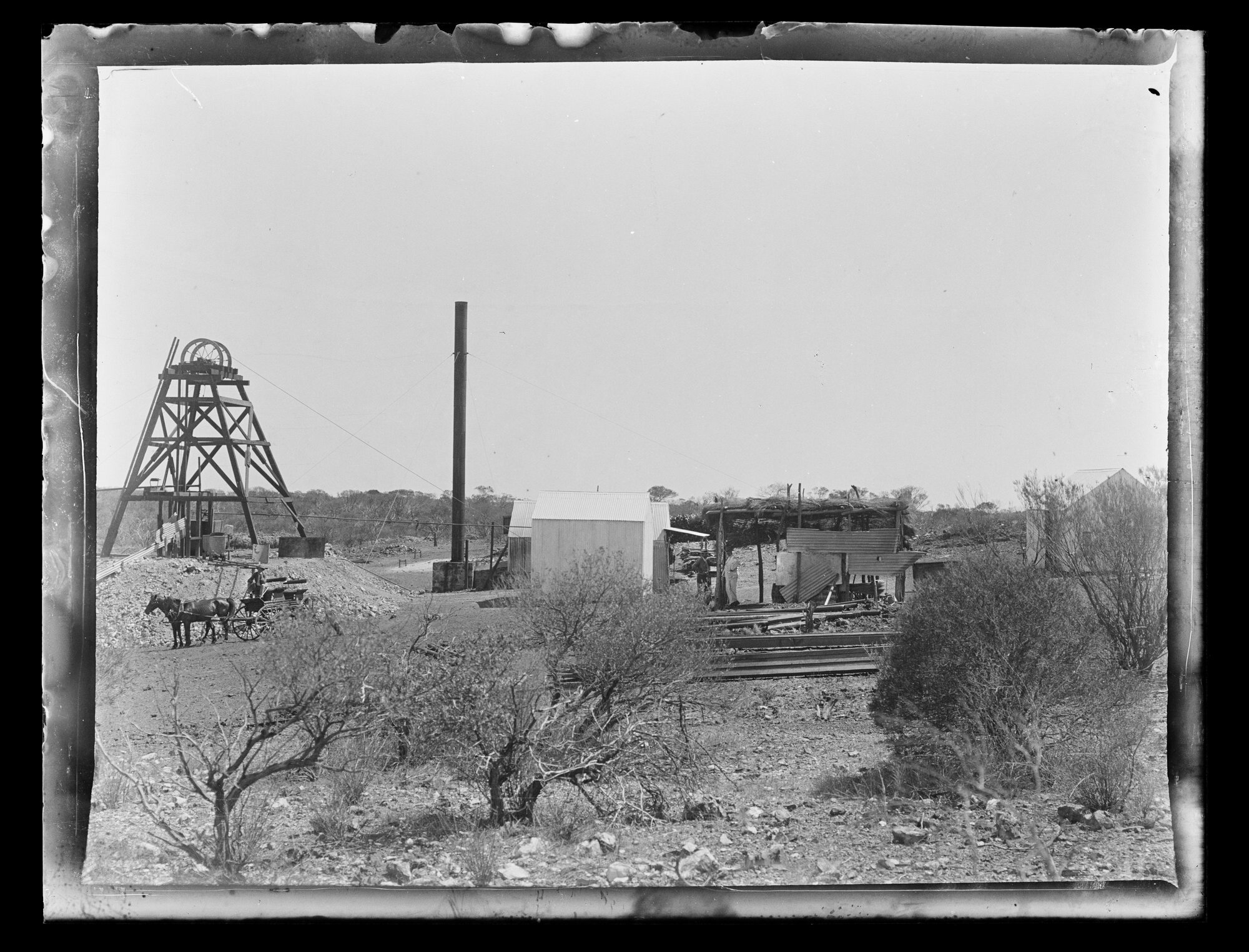 Shockley glass plate negative 05