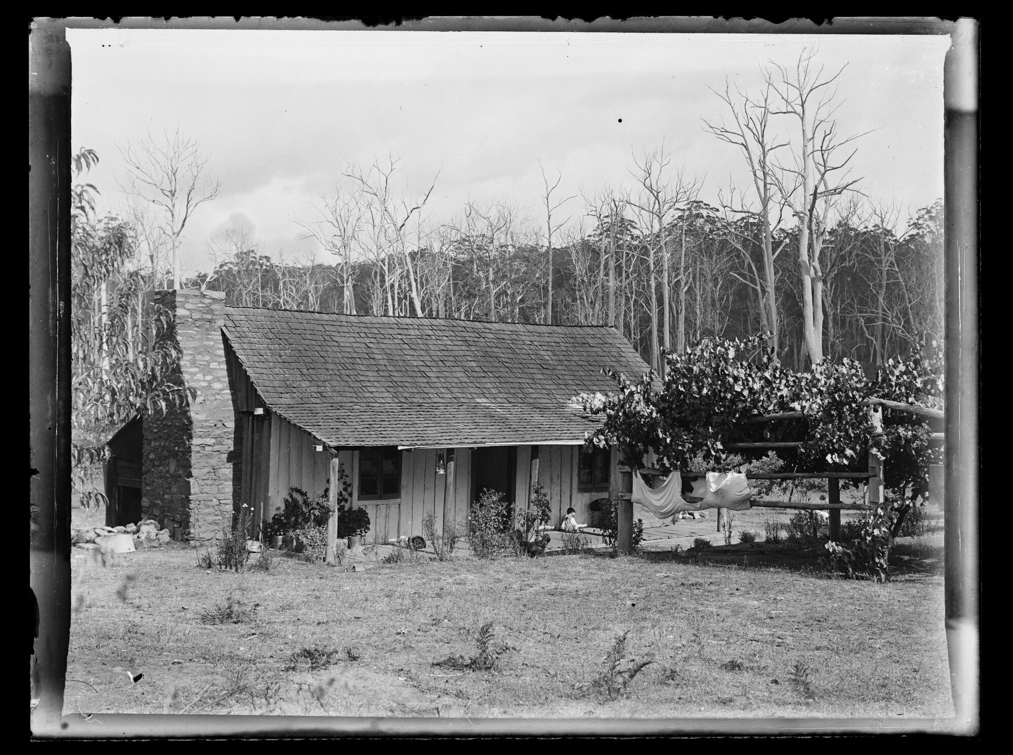 Shockley glass plate negative 07