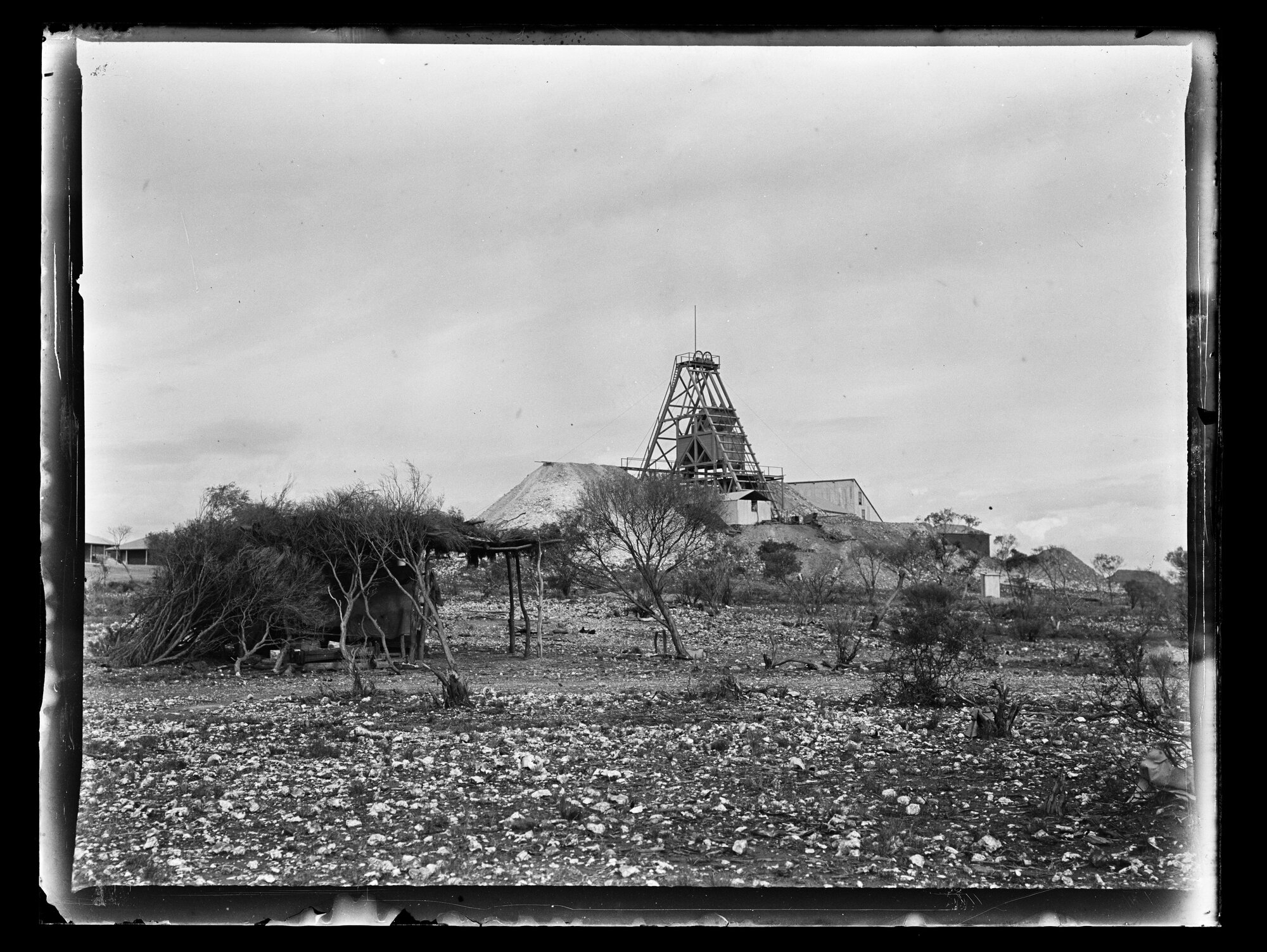 Shockley glass plate negative 08