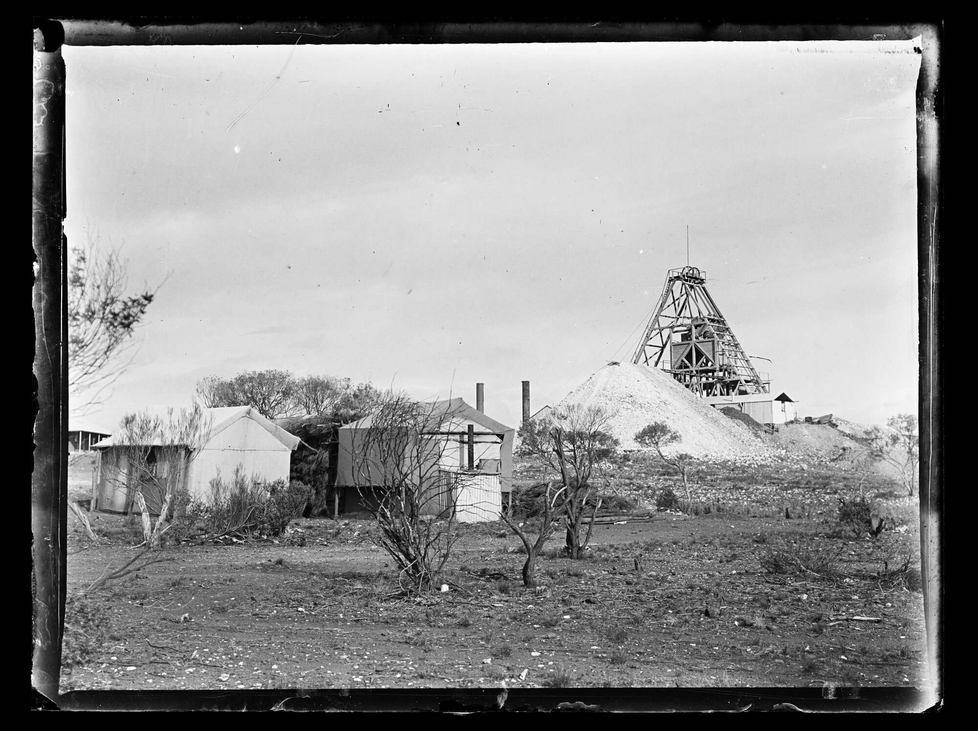 Shockley glass plate negative 11