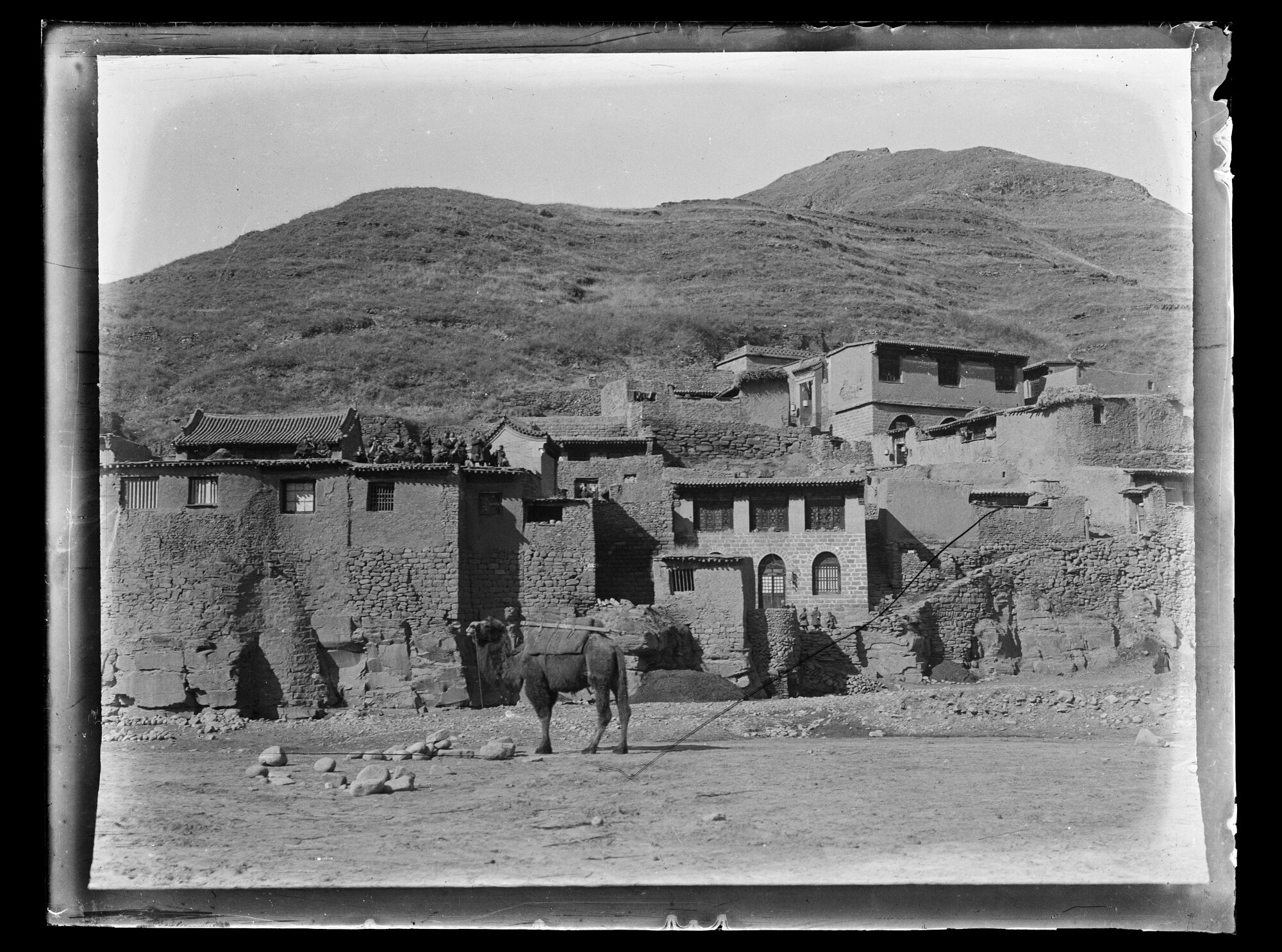 Shockley glass plate negative 14