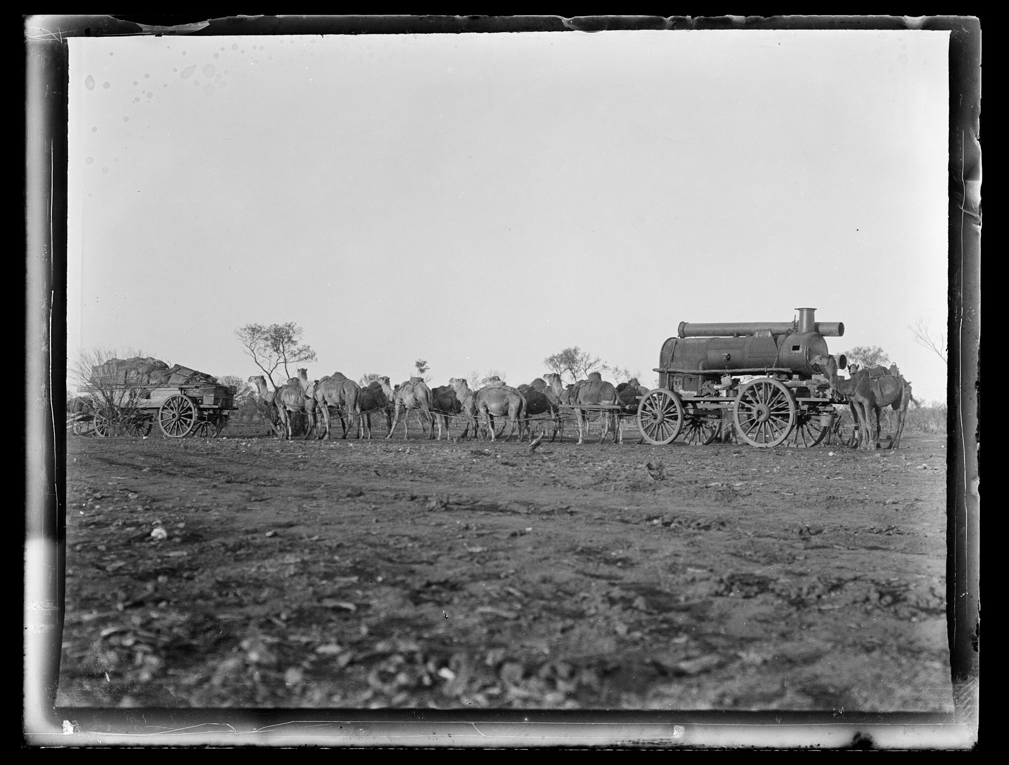 Shockley glass plate negative 17