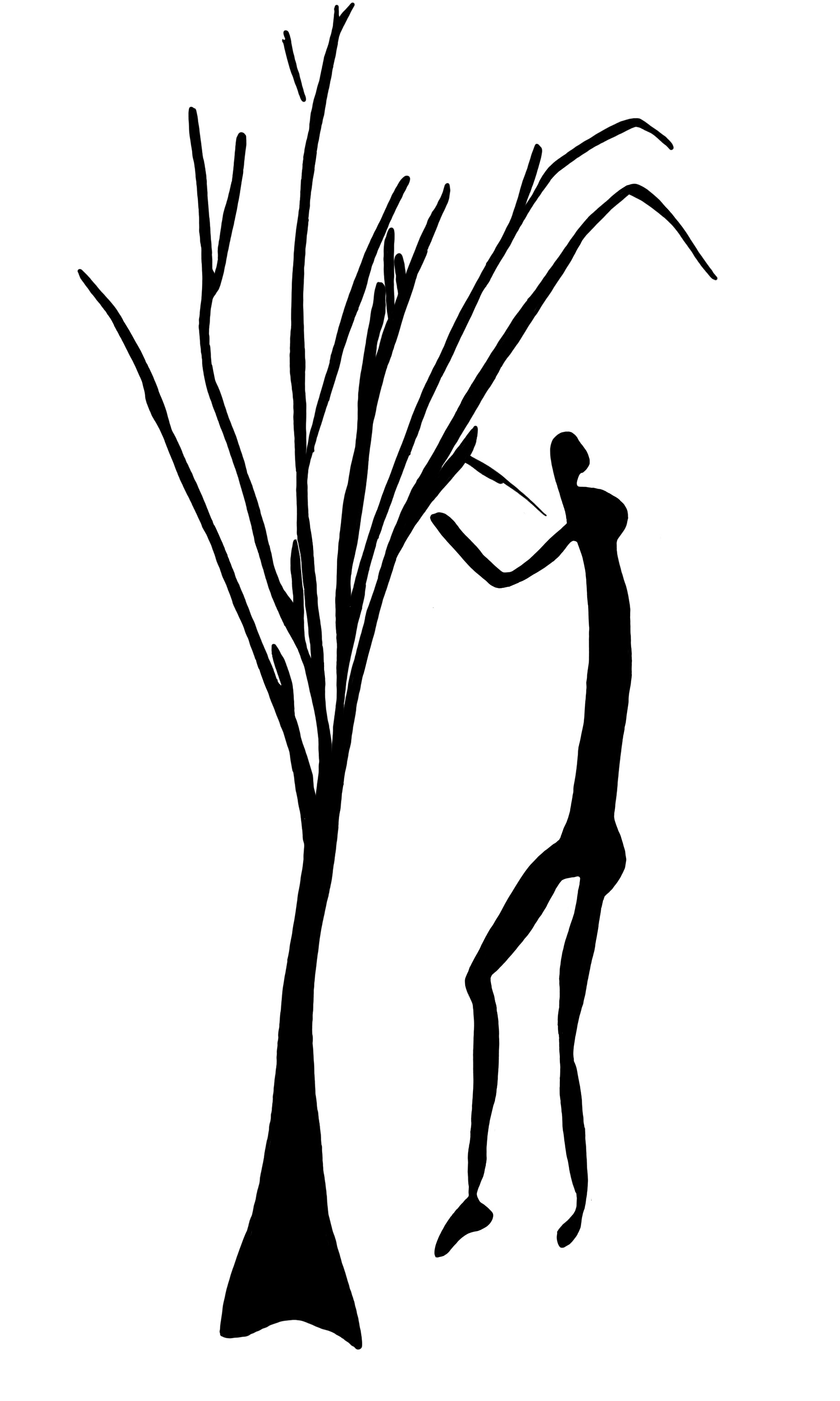 2028 A4 058 redrawing 001