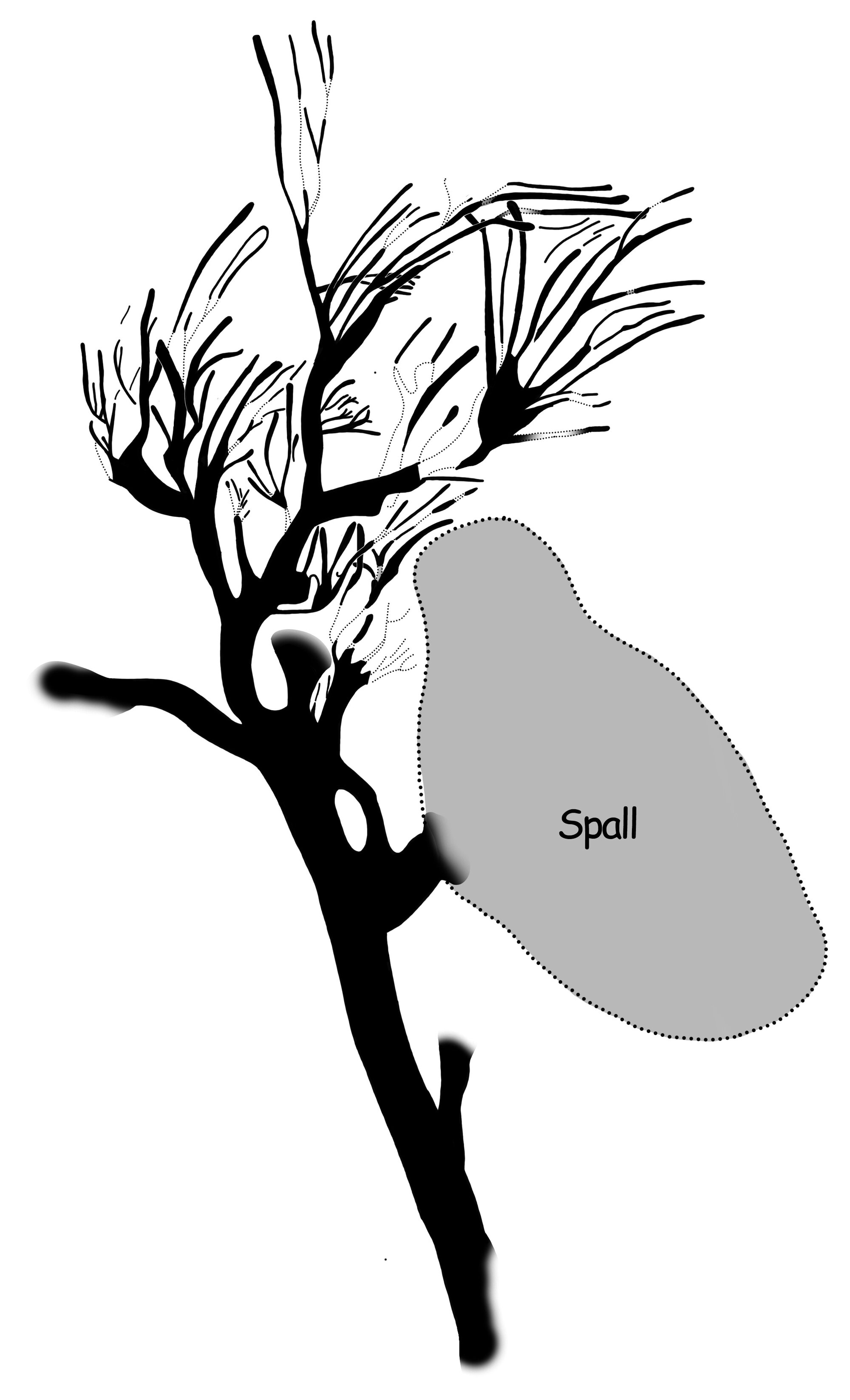 2028 C2 217 redrawing 001