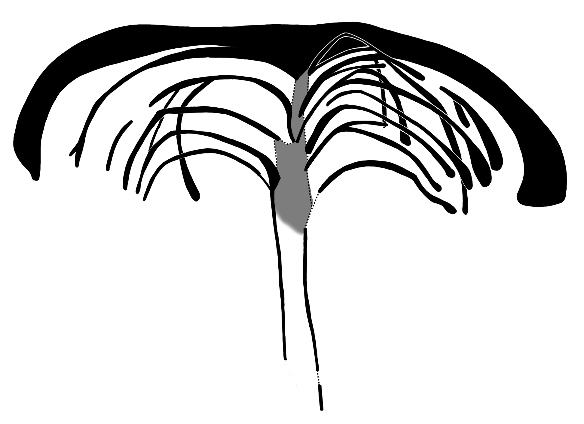 2028 D1 101 redrawing 001