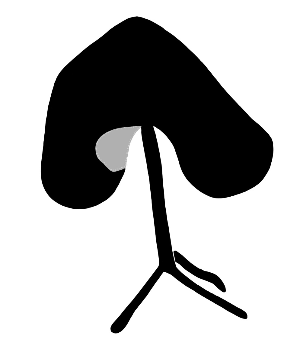 2028 C2 G004 (Horace the Horse) redrawing 001