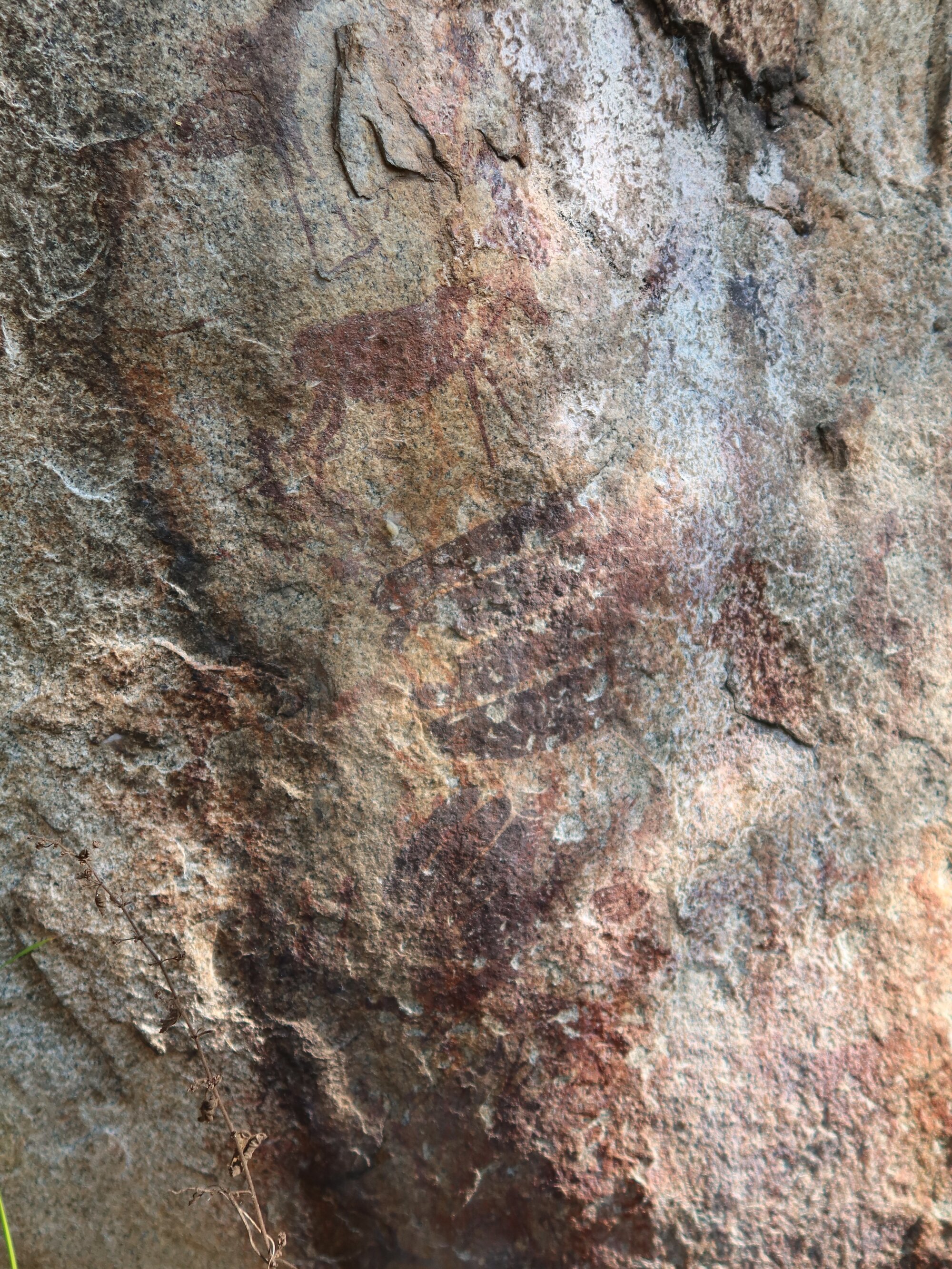Nyabira 1 2025.03.23 (1)