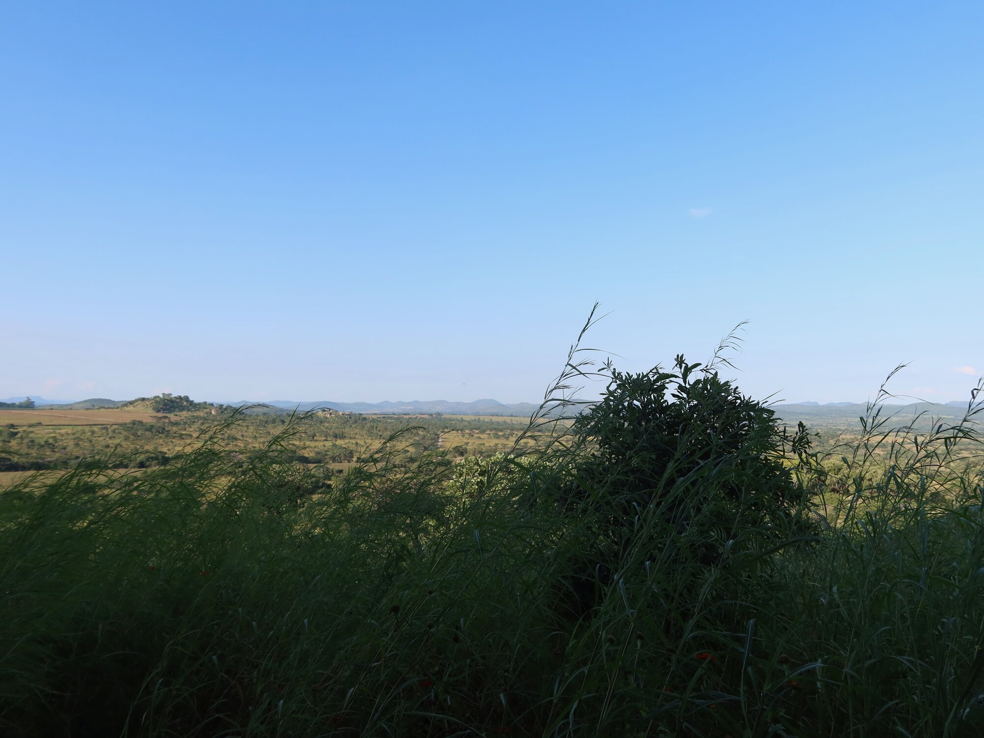 Nyabira 4 2025.03.23 (13)