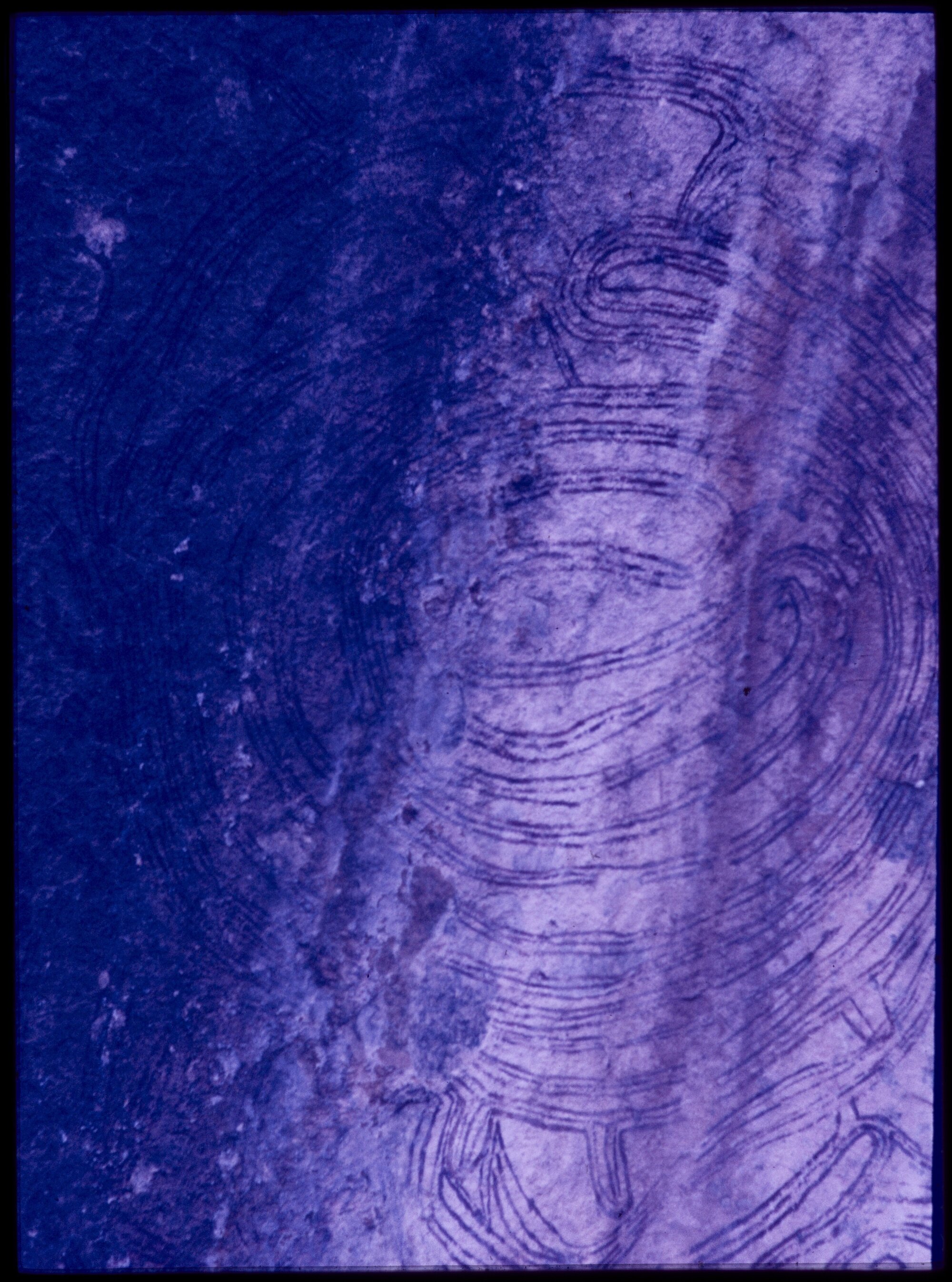07064
