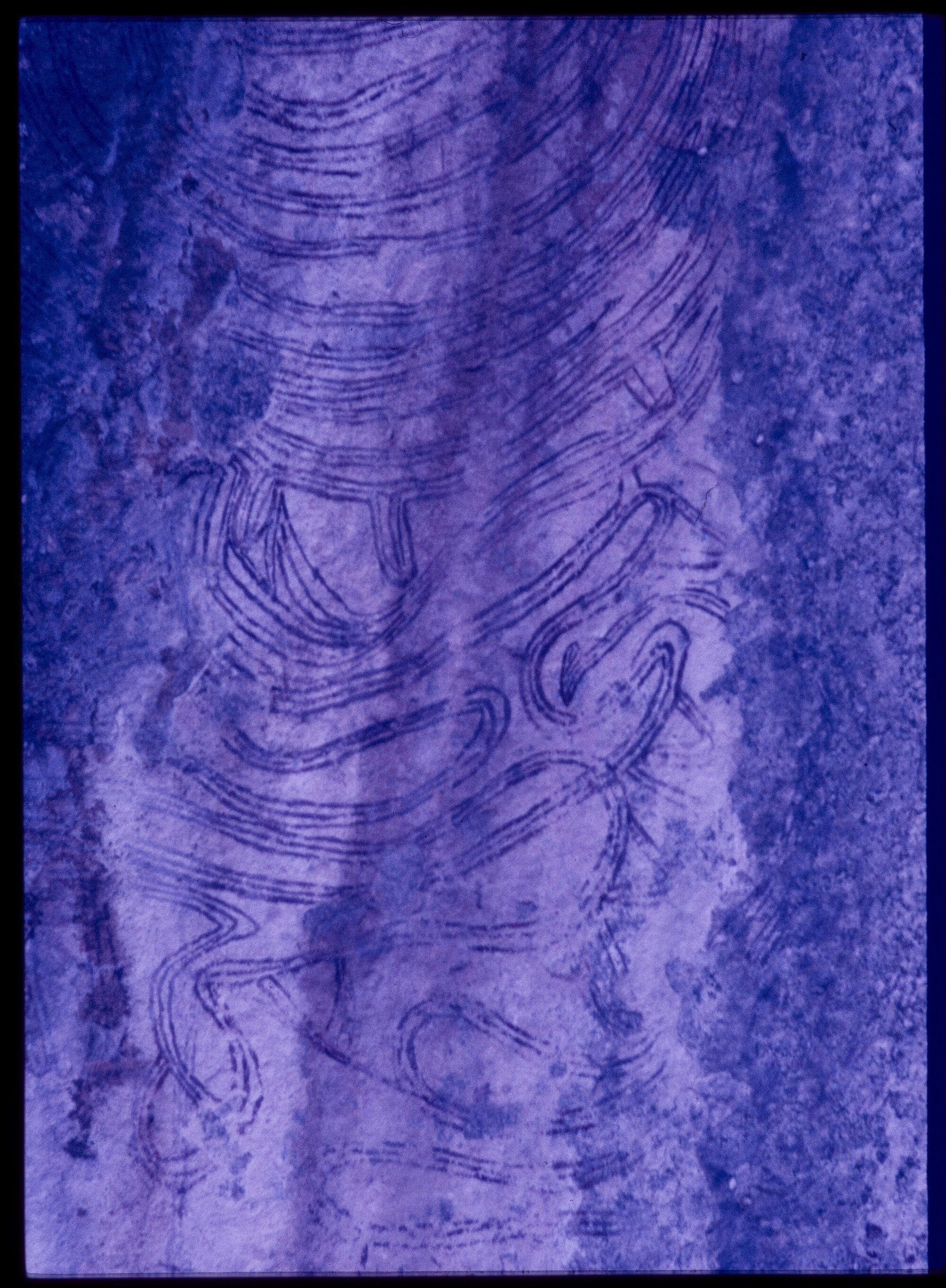 07061