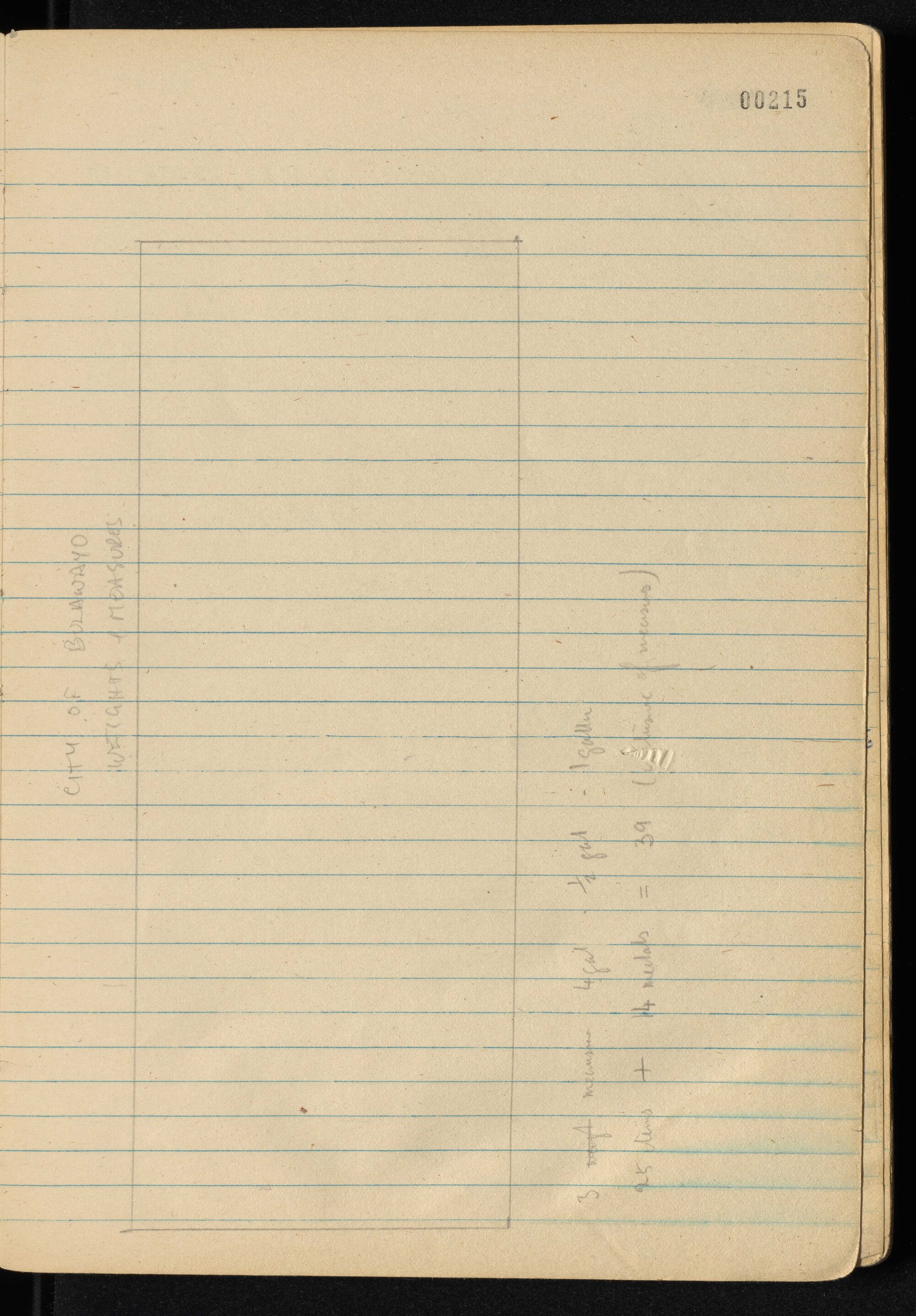 Peter Genge field notes. 00215