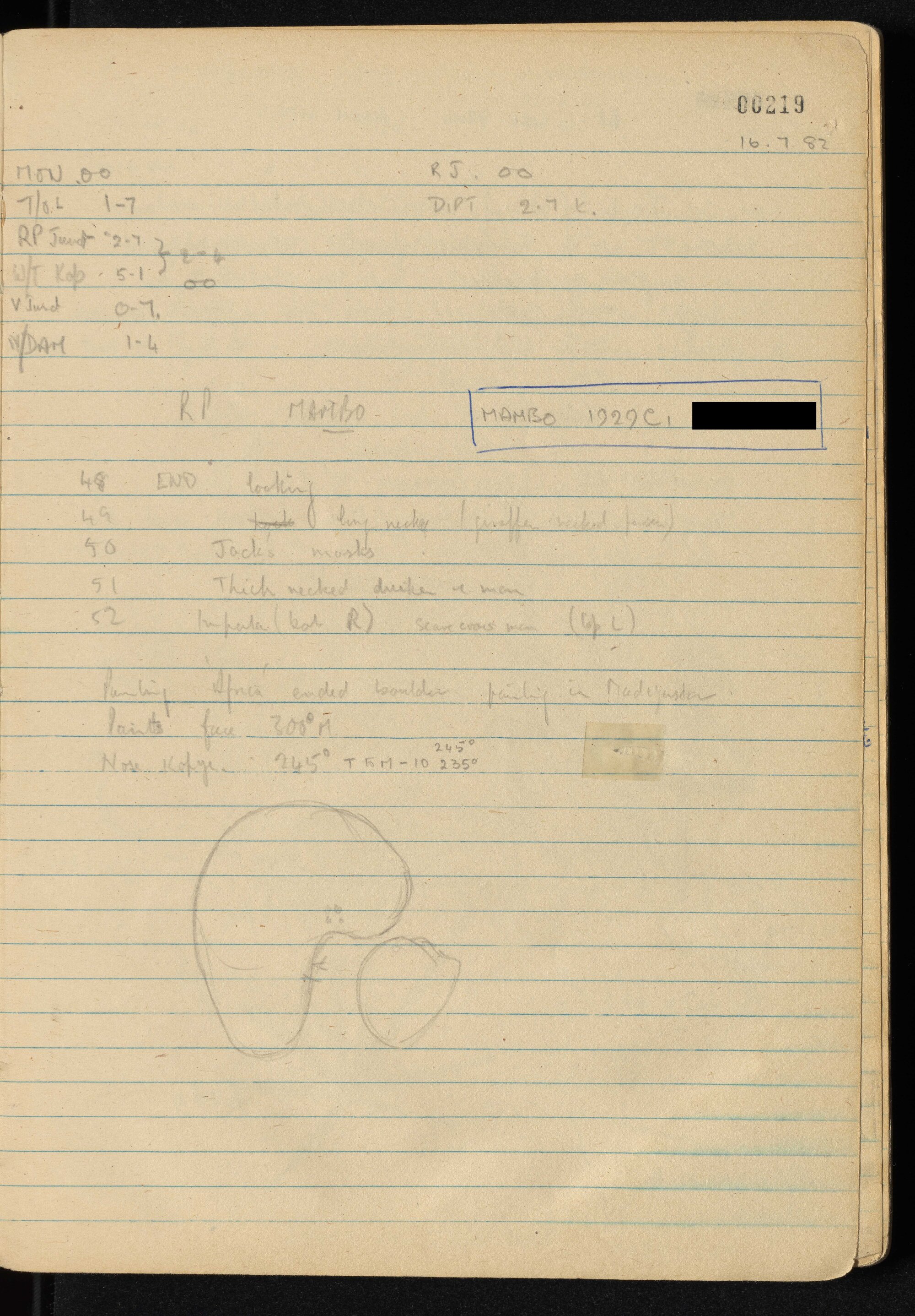 Peter Genge field notes. 00219