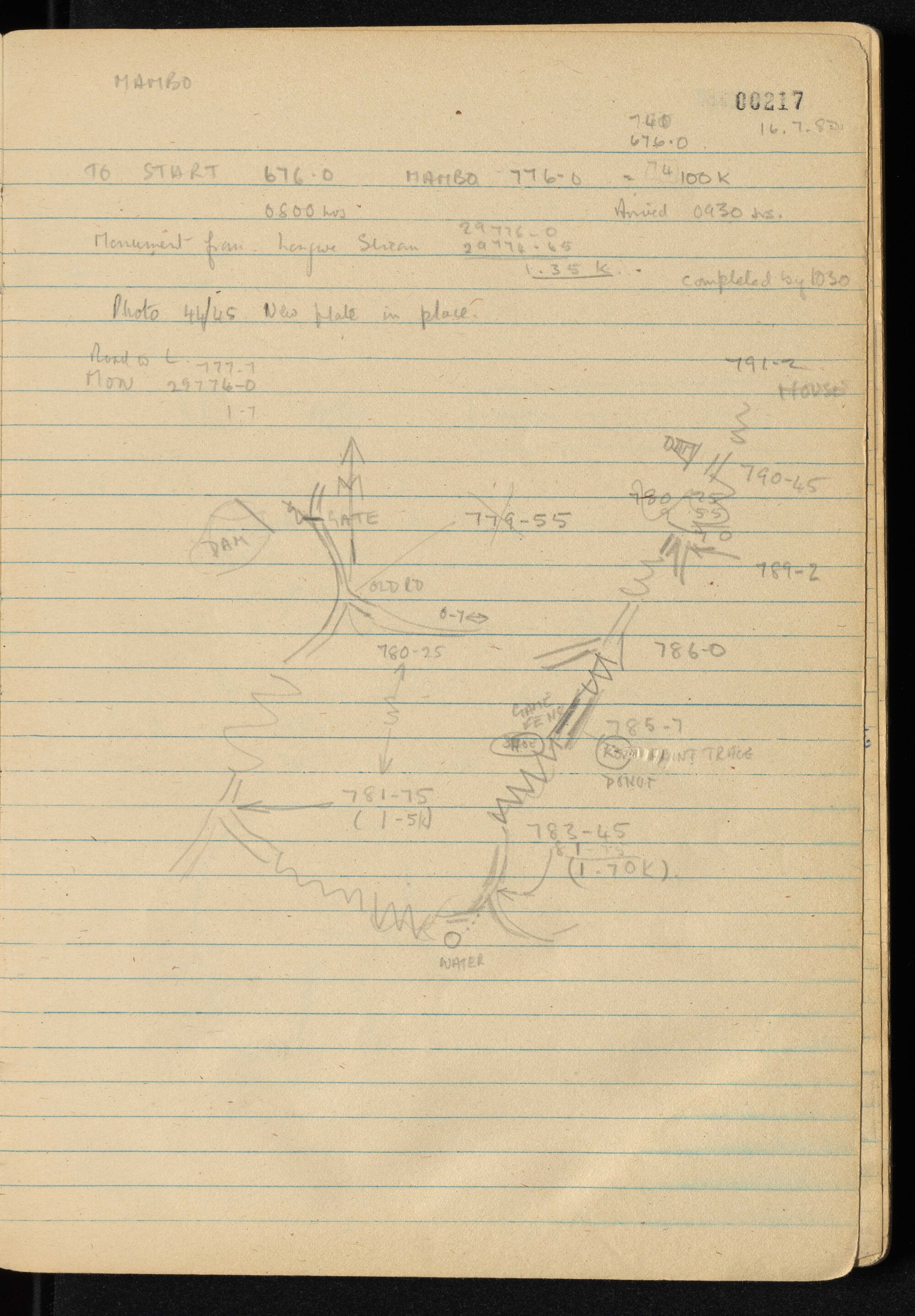 Peter Genge field notes. 00217