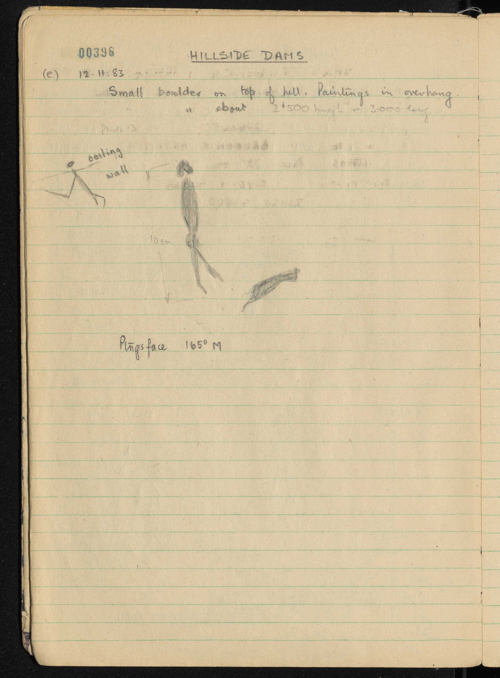 Peter Genge field notes. 00396