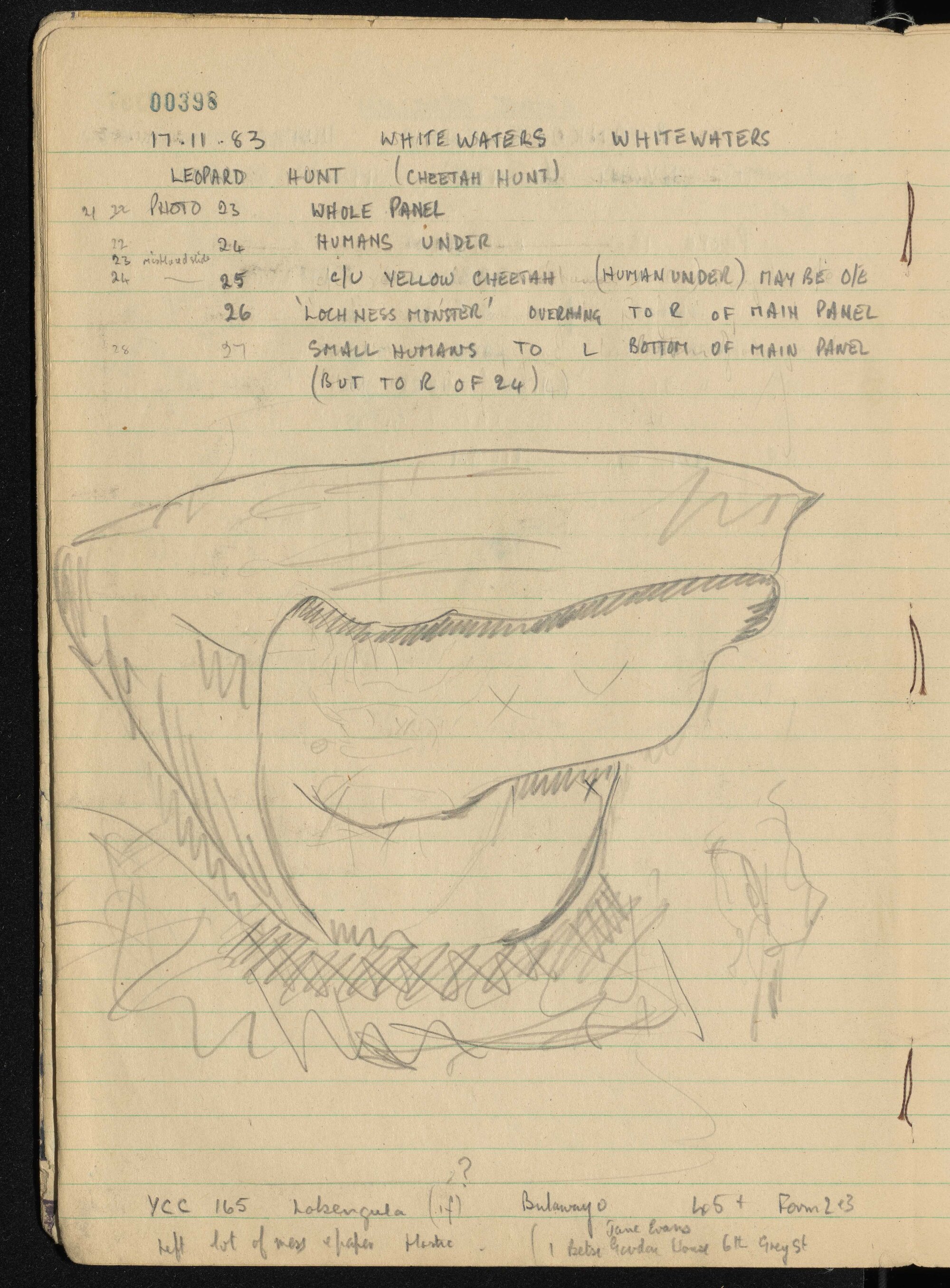 Peter Genge field notes. 00398