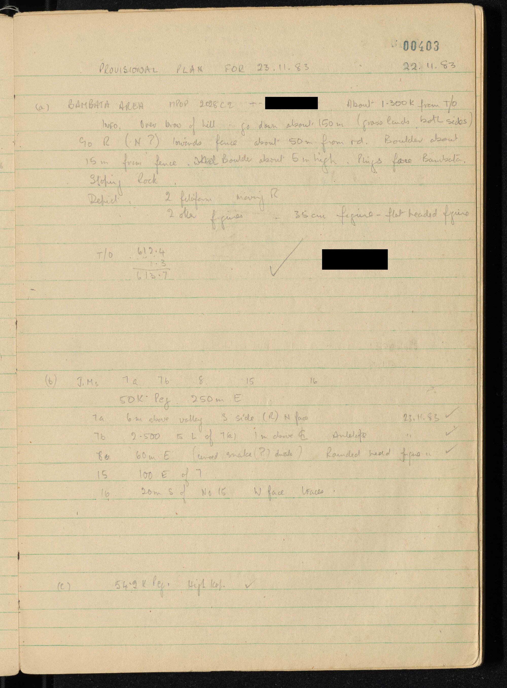 Peter Genge field notes. 00403