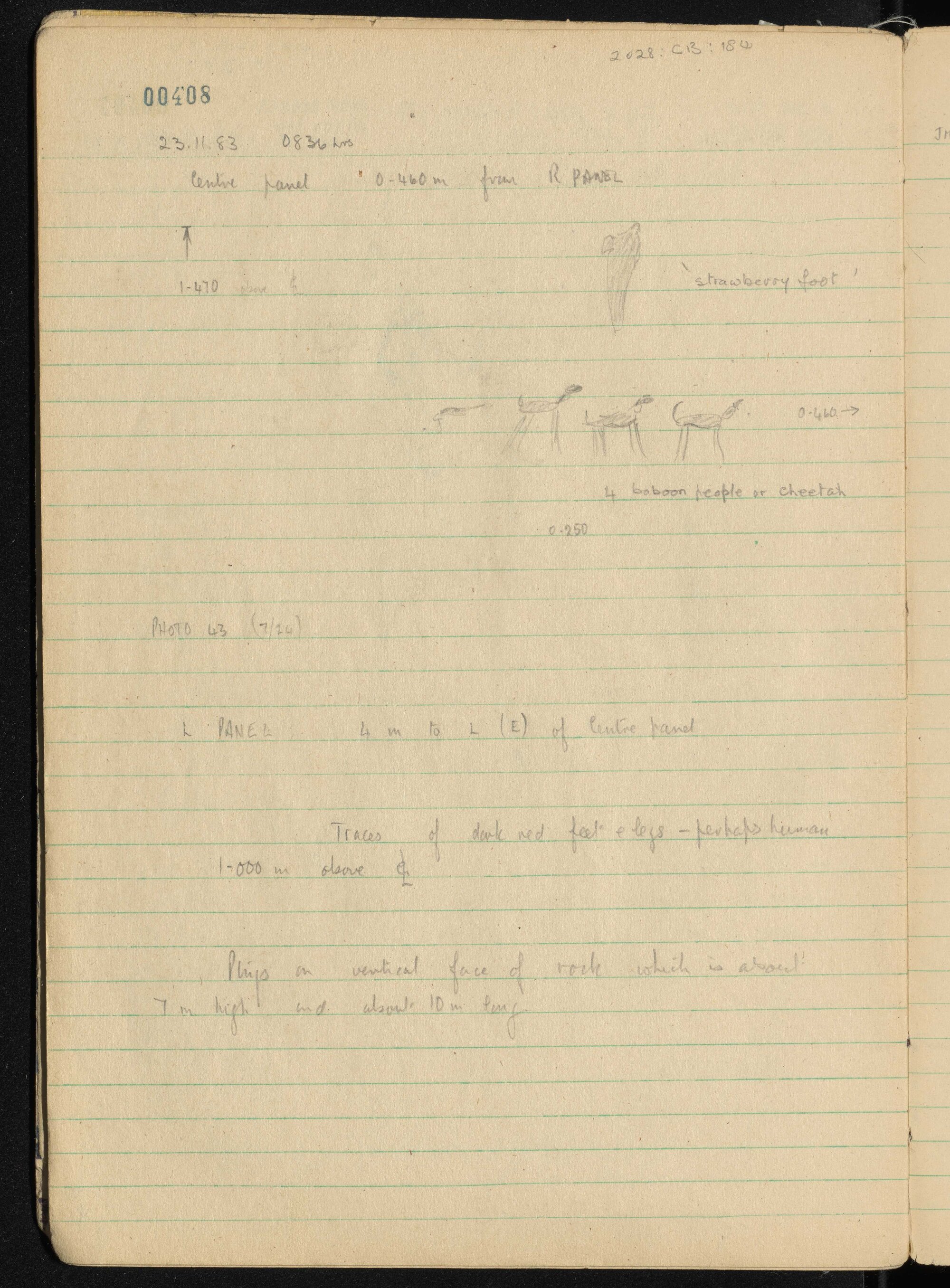 Peter Genge field notes. 00408