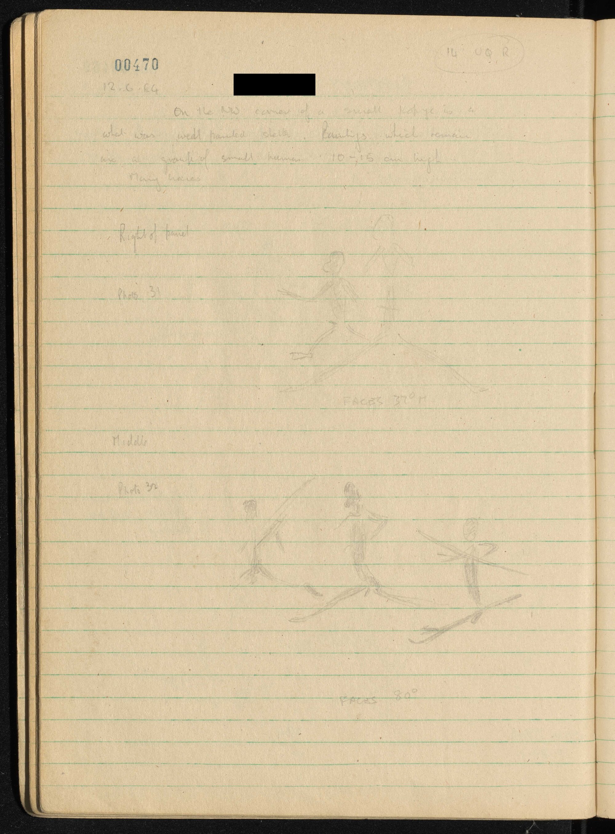 Peter Genge field notes. 00470
