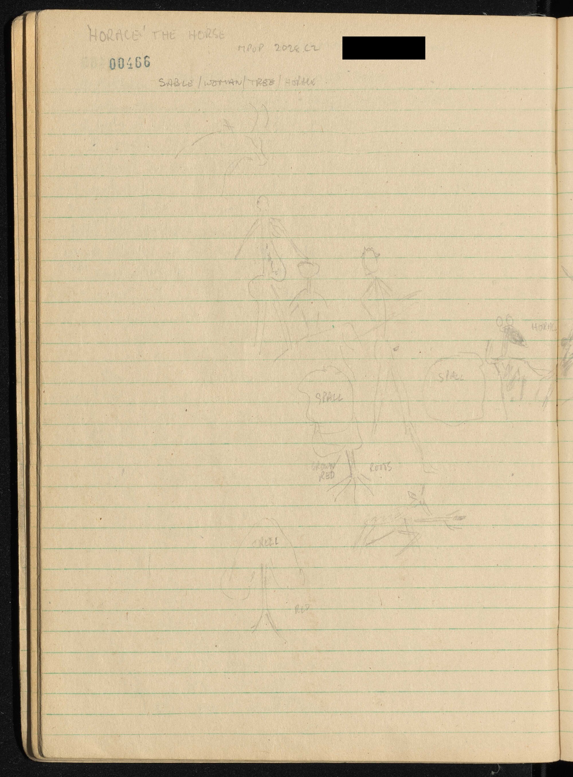 Peter Genge field notes. 00466