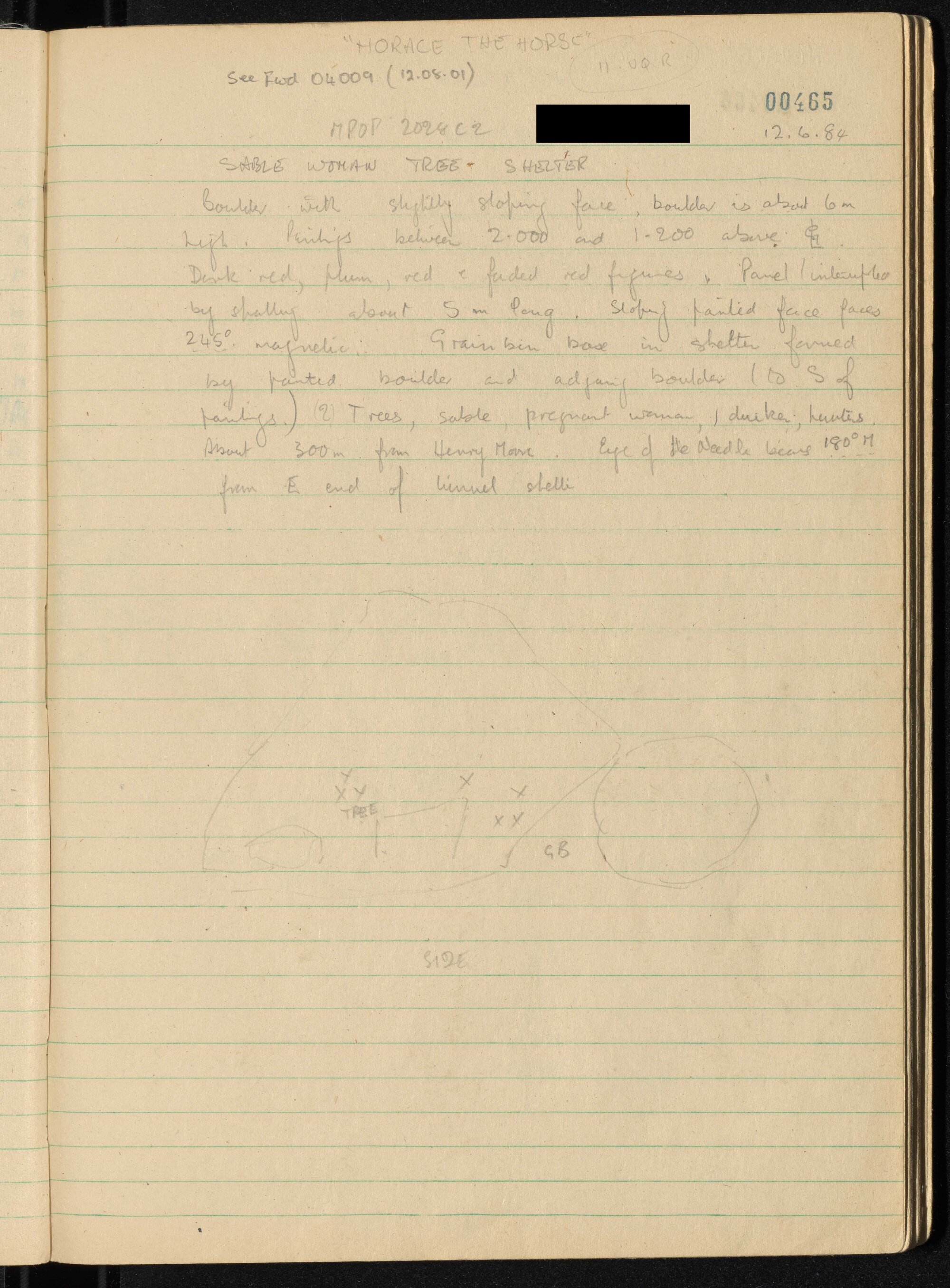 Peter Genge field notes. 00465