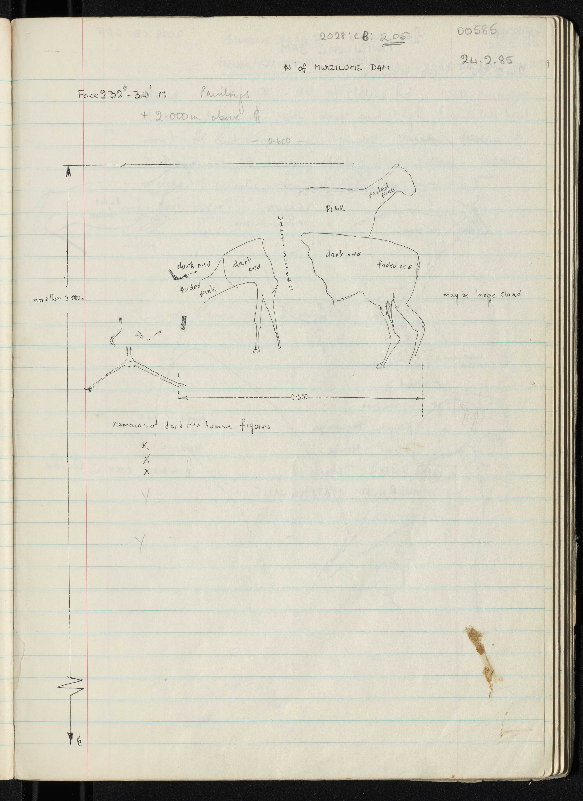 Peter Genge field notes. 00585