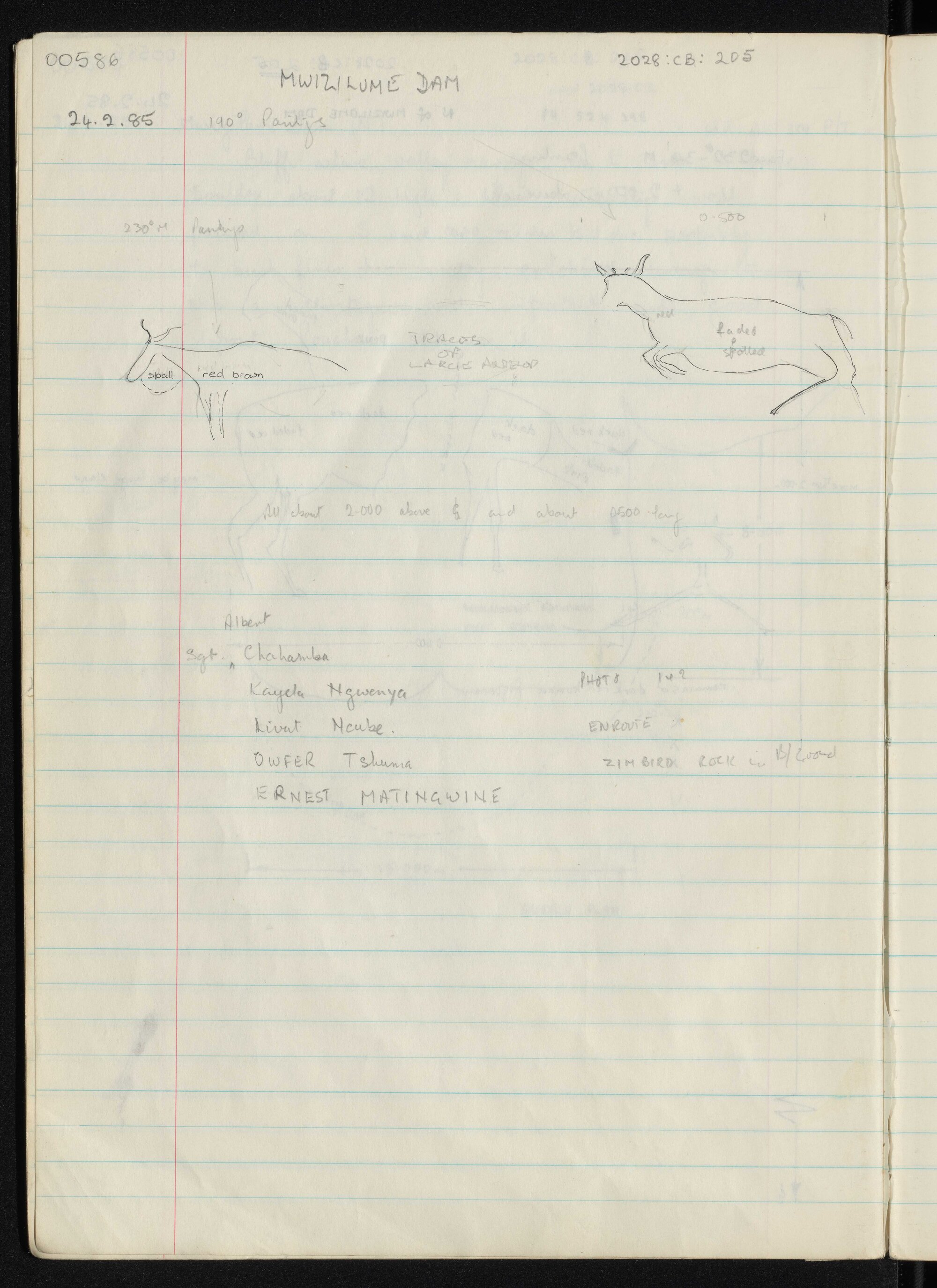 Peter Genge field notes. 00586