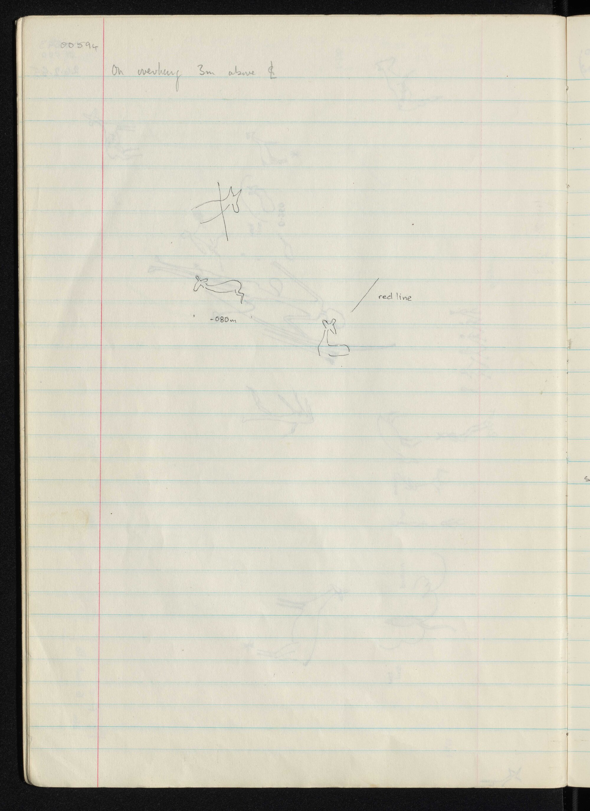 Peter Genge field notes. 00594