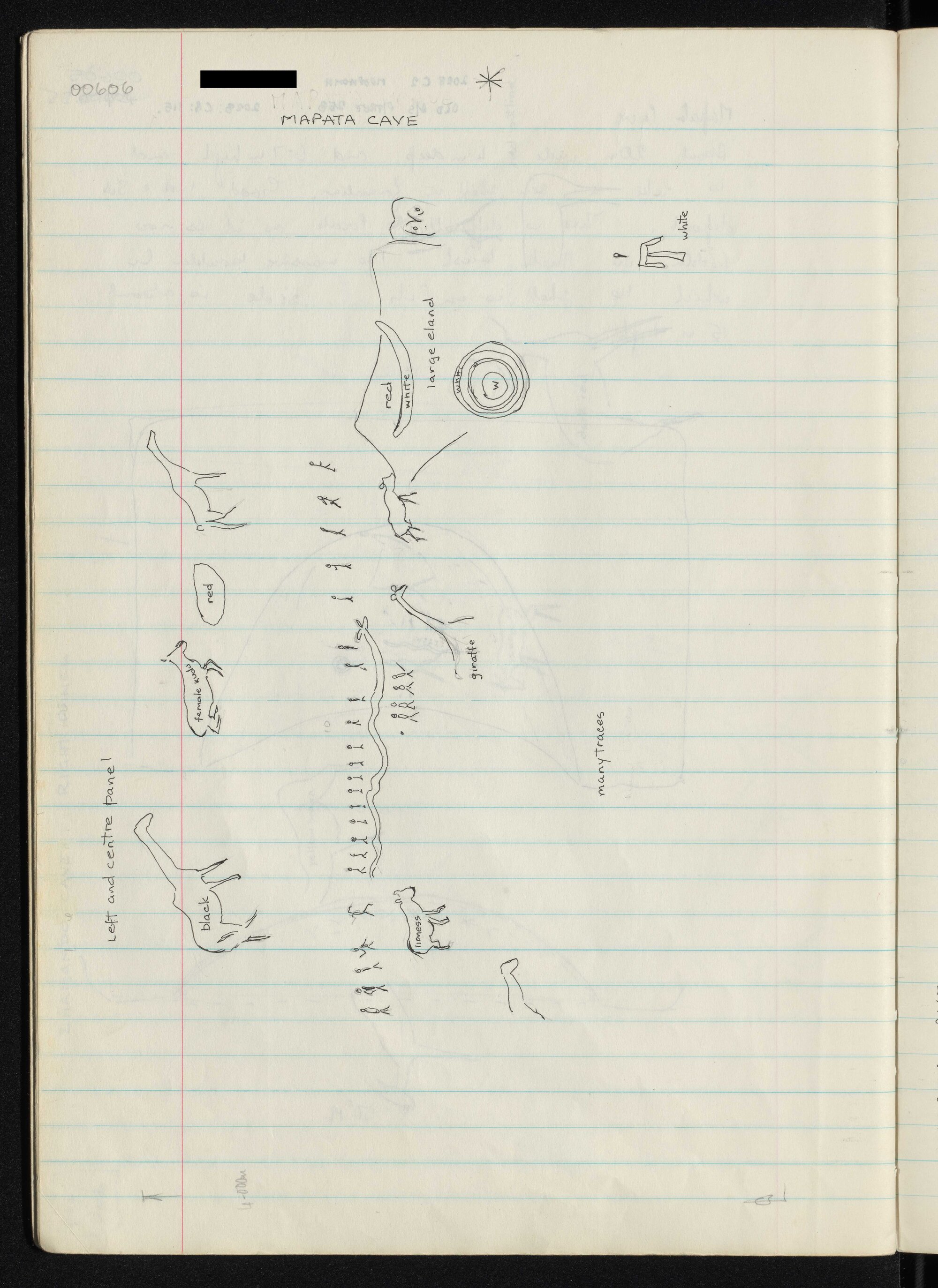 Peter Genge field notes. 00606