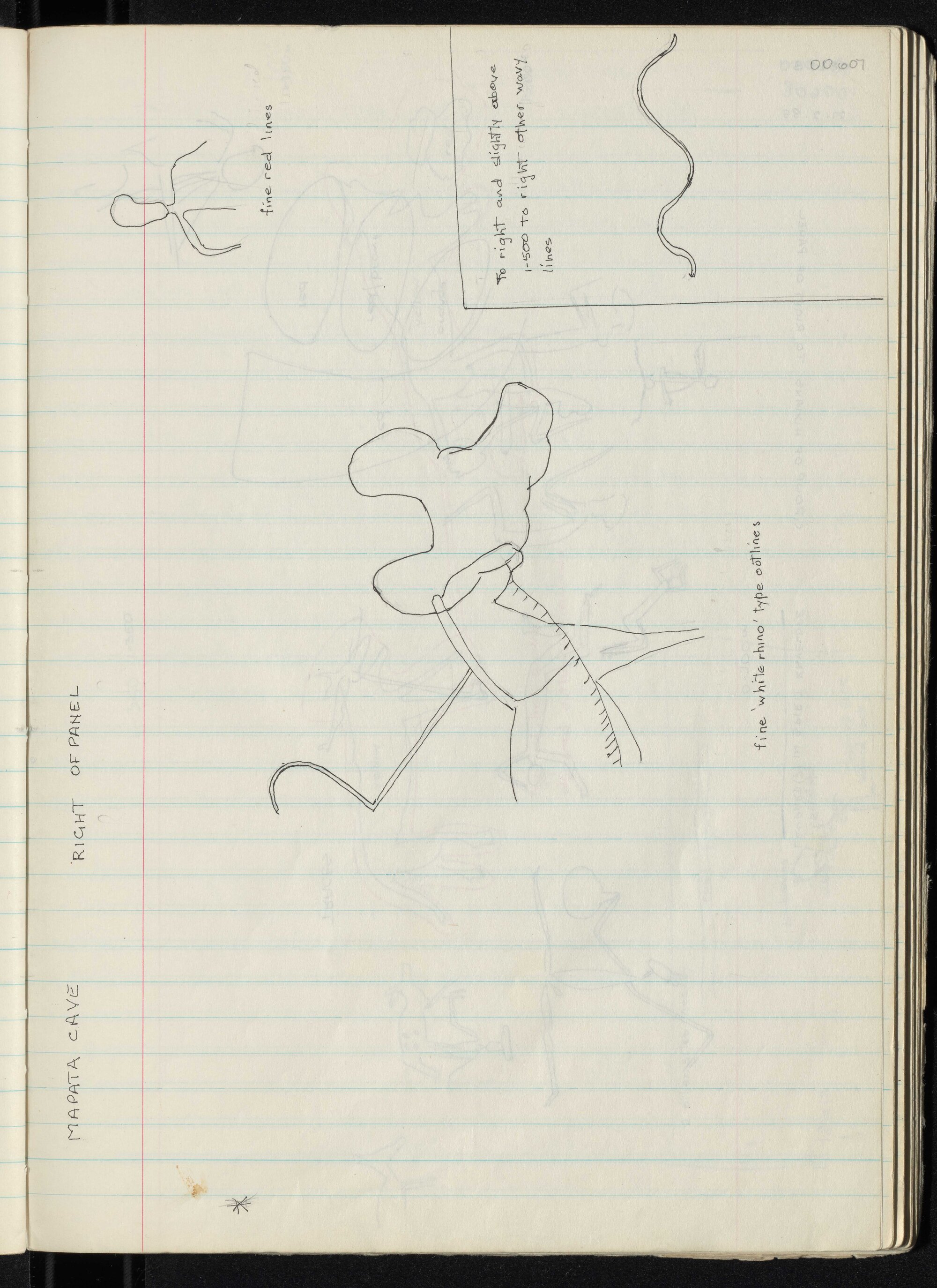 Peter Genge field notes. 00607