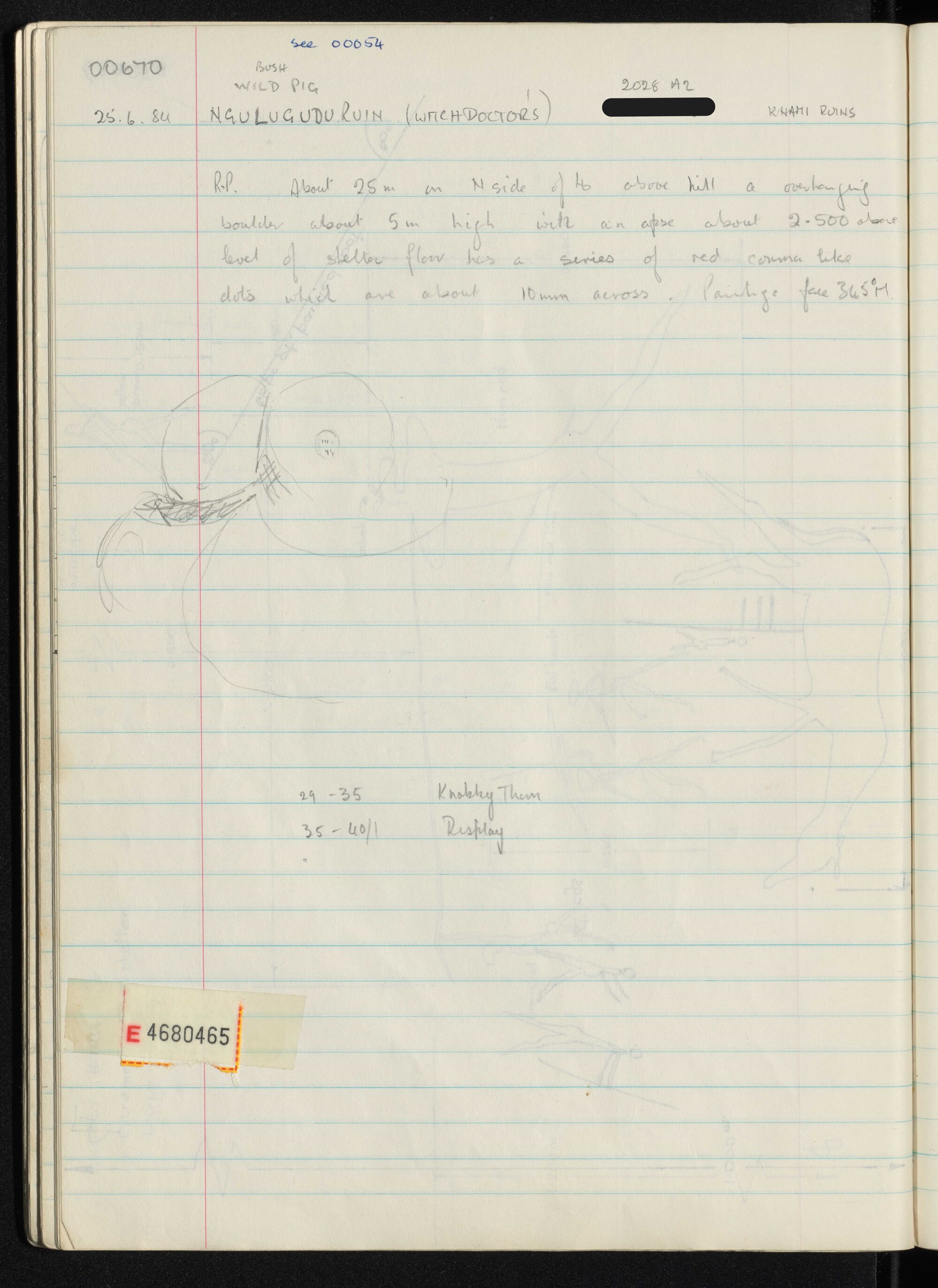 Peter Genge field notes. 00670